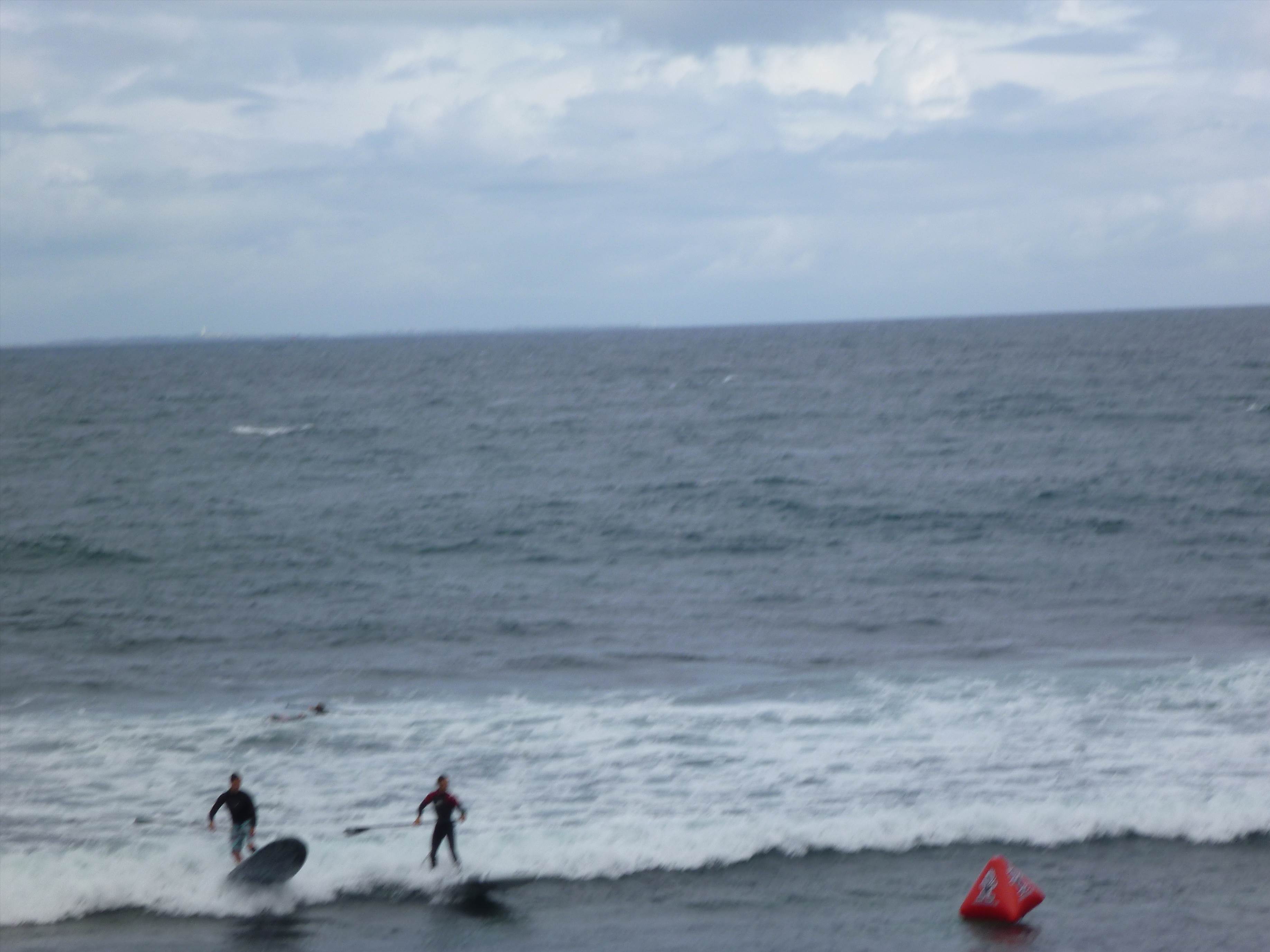 Whalebone Classic BOP race