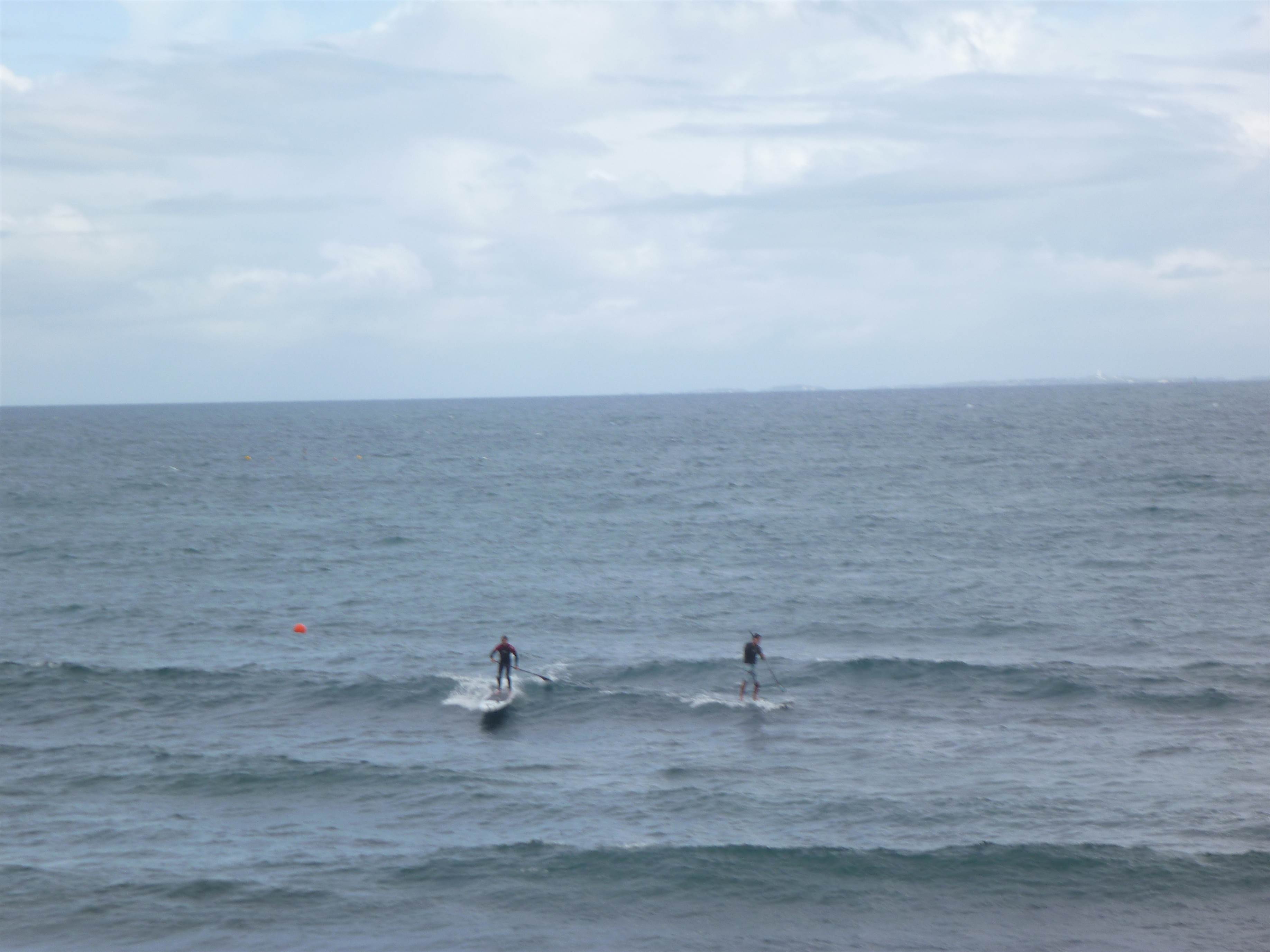 Whalebone Classic BOP race