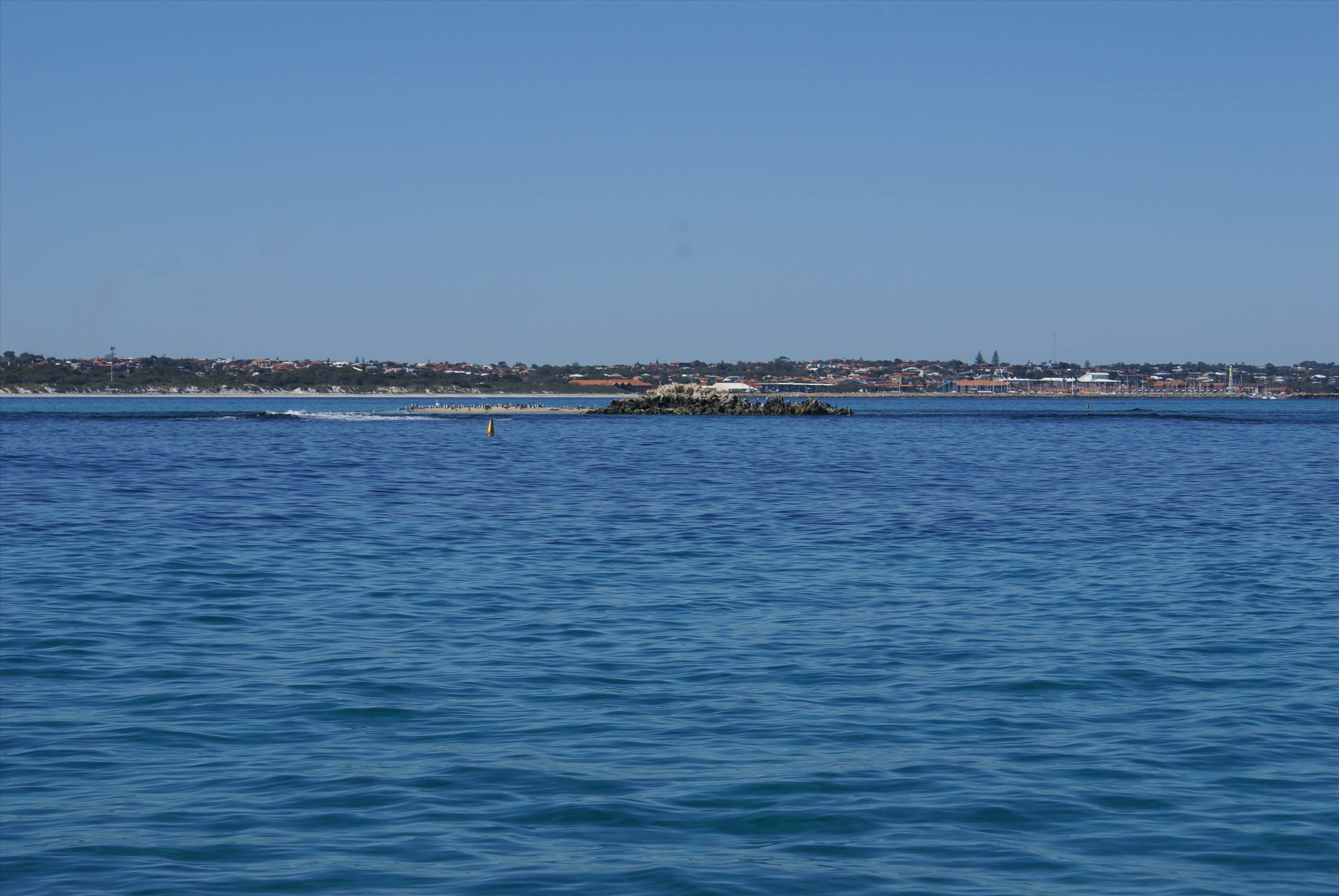 seal island
