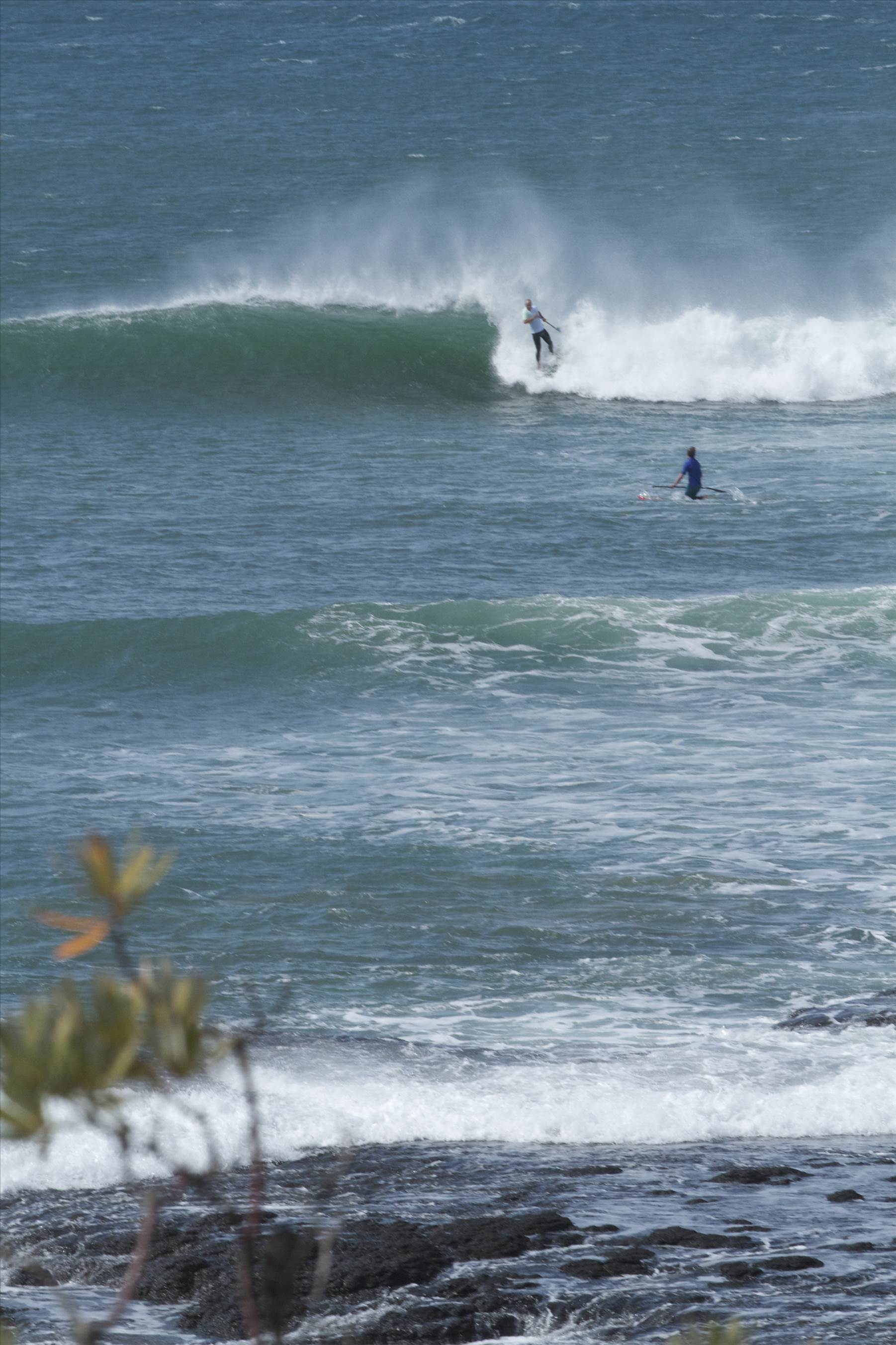 Point Leo comp