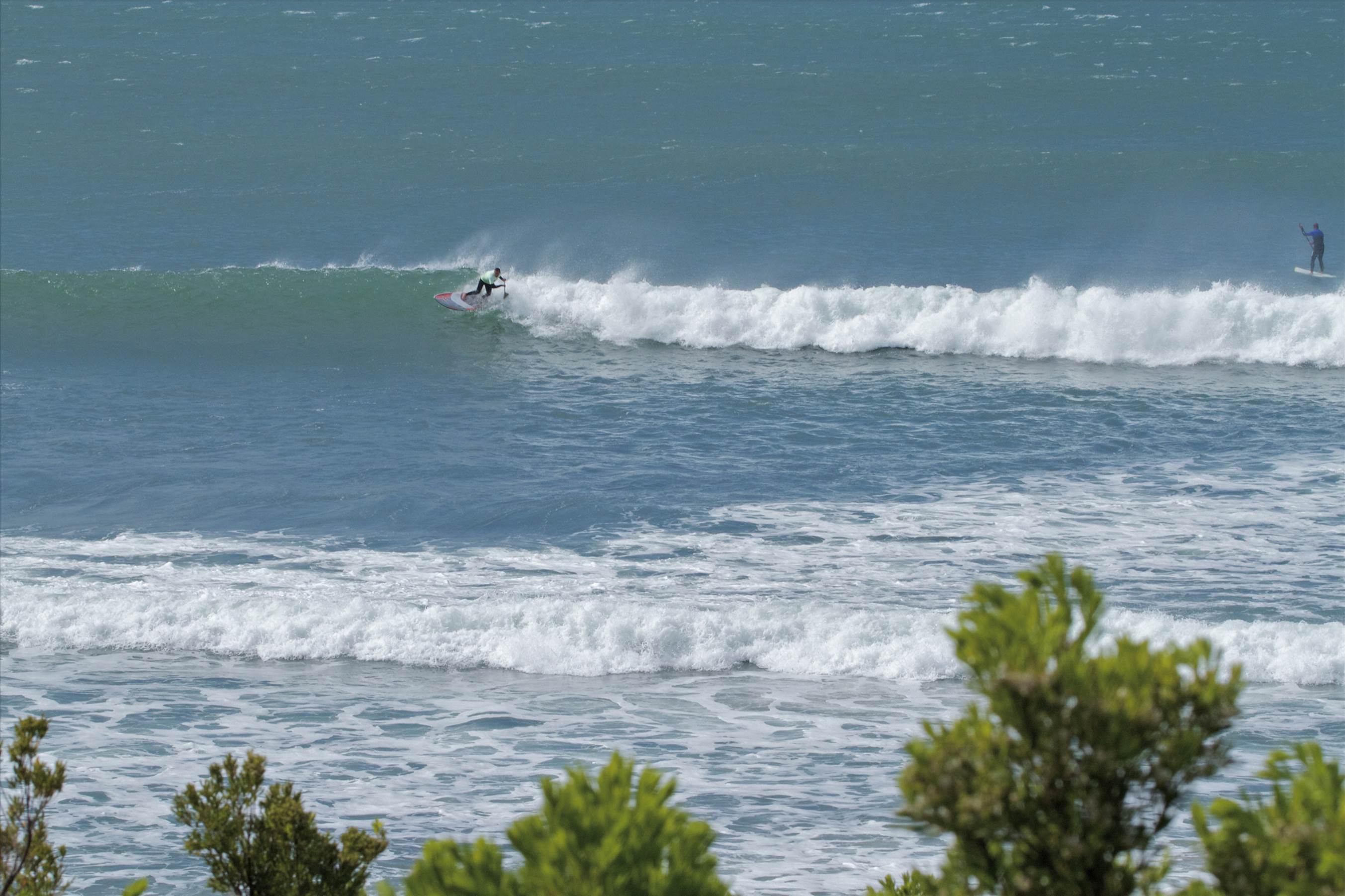 Point Leo comp