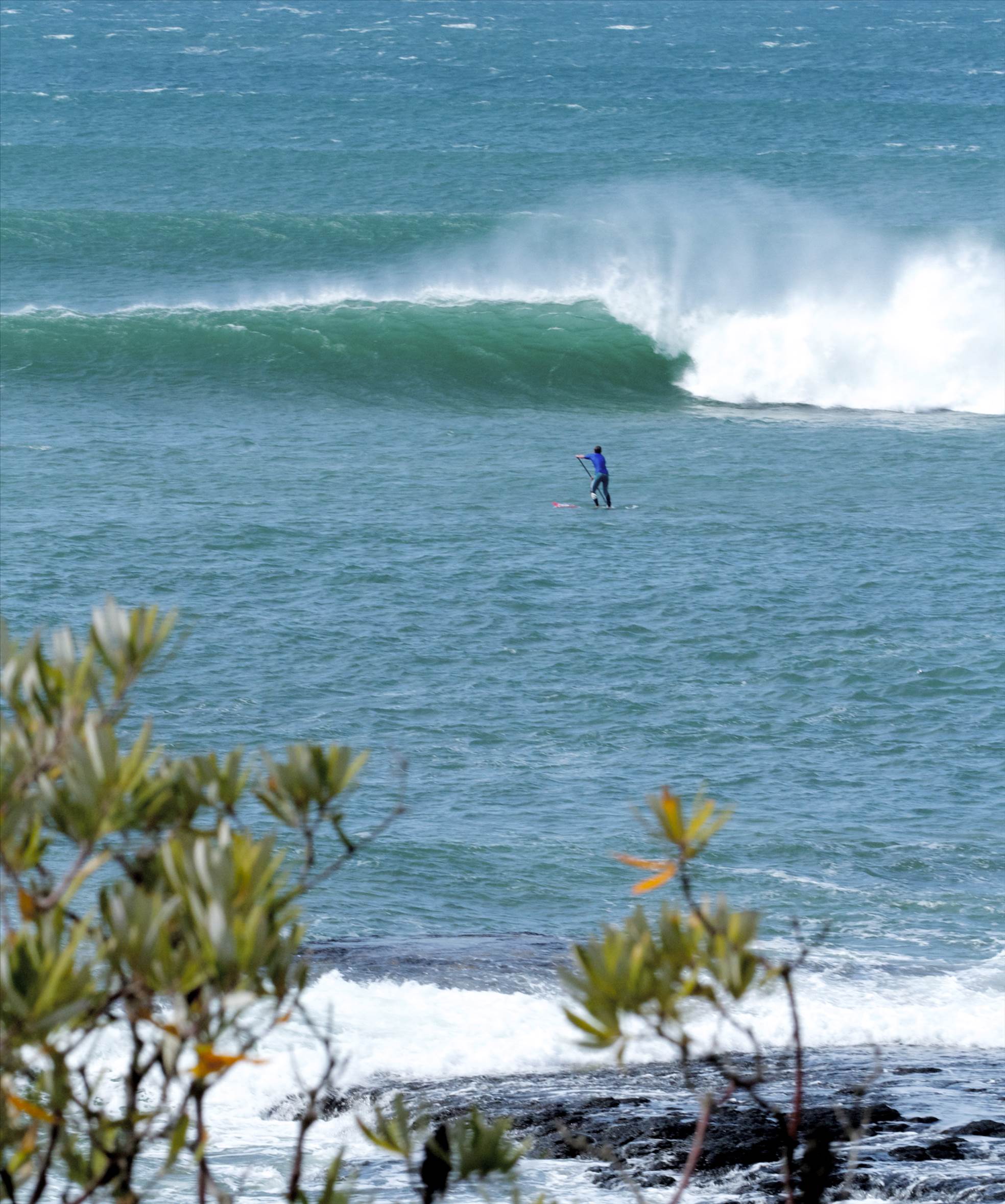 Point Leo comp