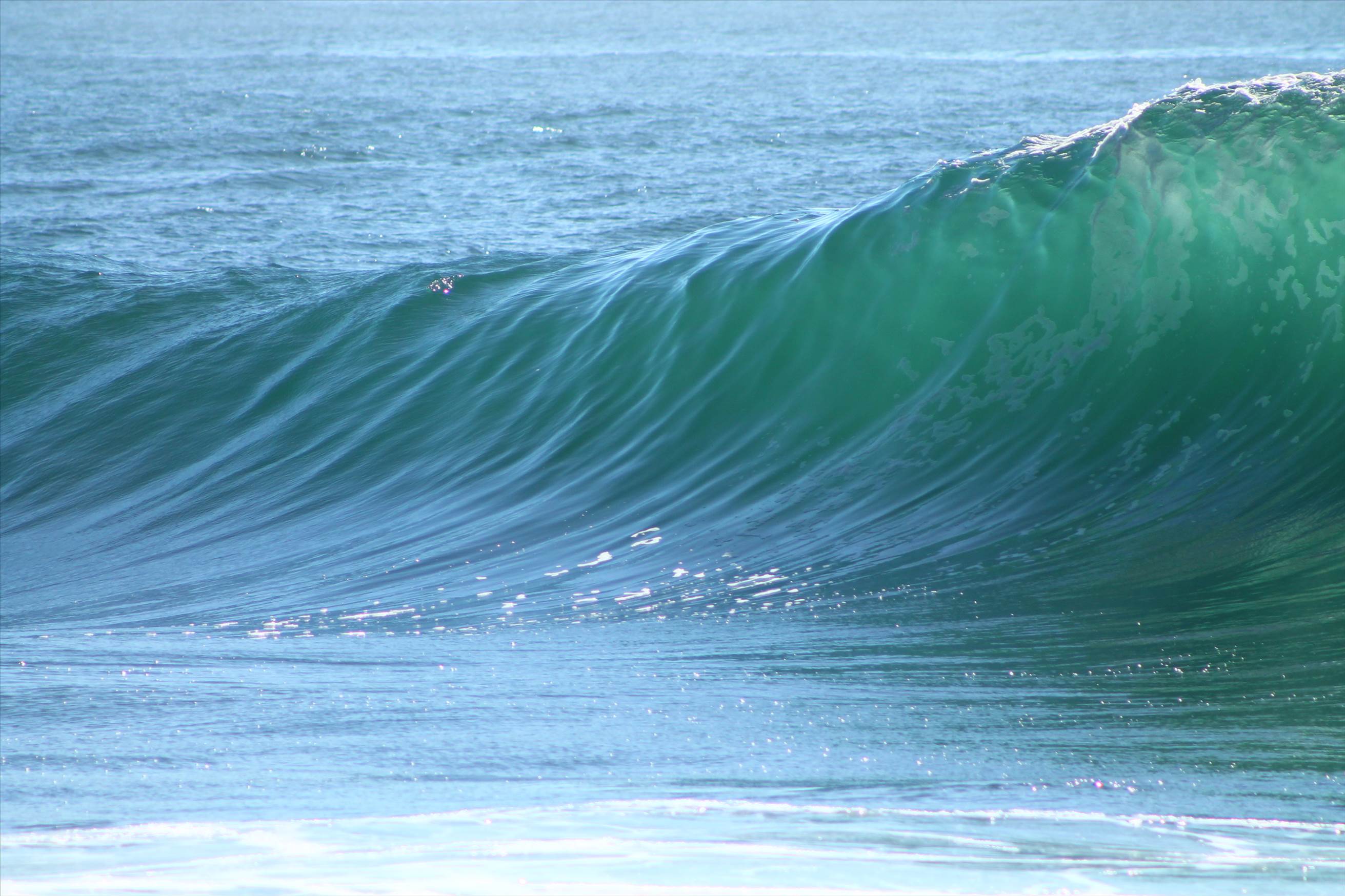wave
