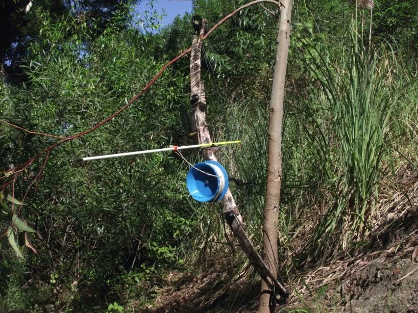 65lb Bowfishing compound with carp point and standard non-Dyneema line