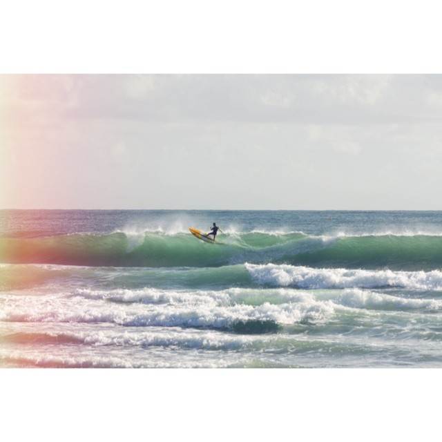 Naish Hokua