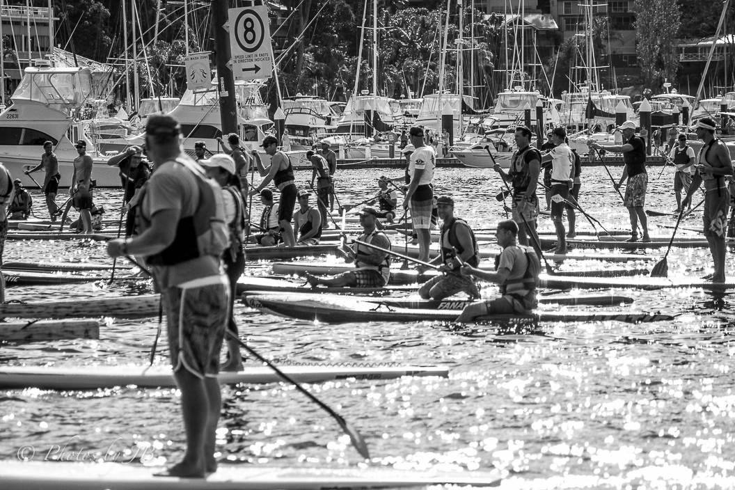 Pittwater festival 2014