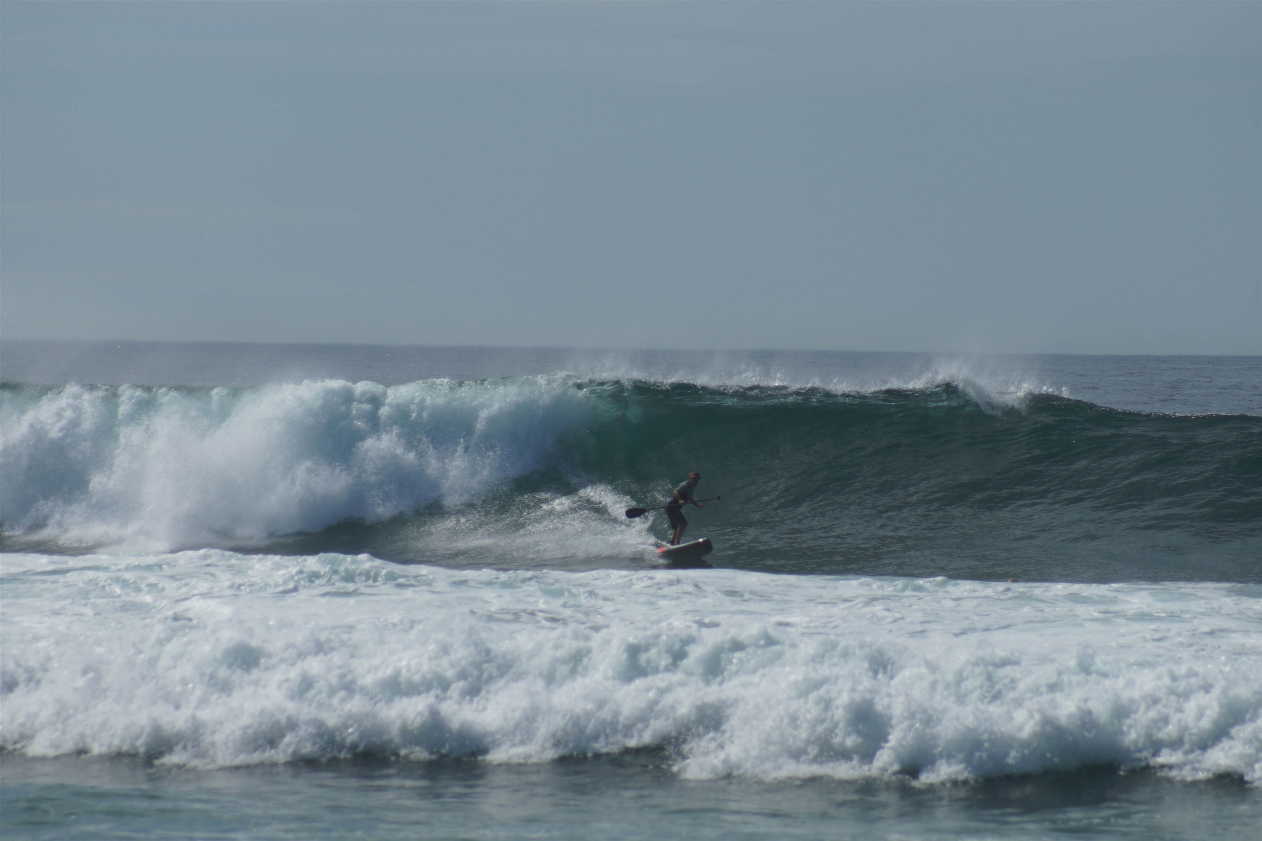 Wave3