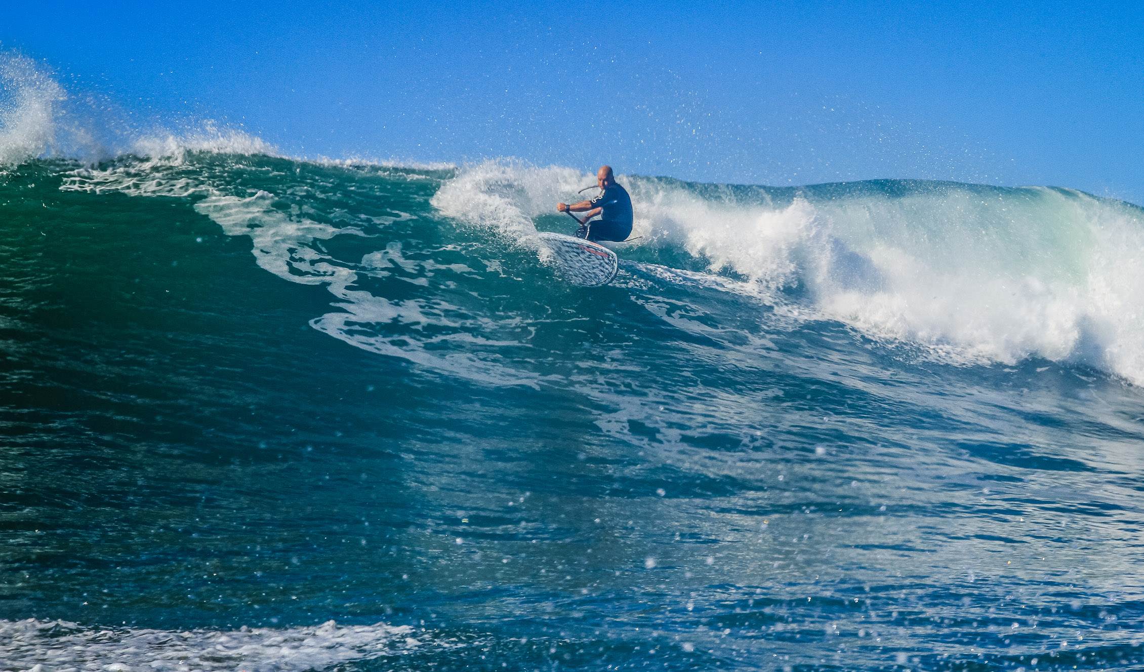 Scotts comp-272