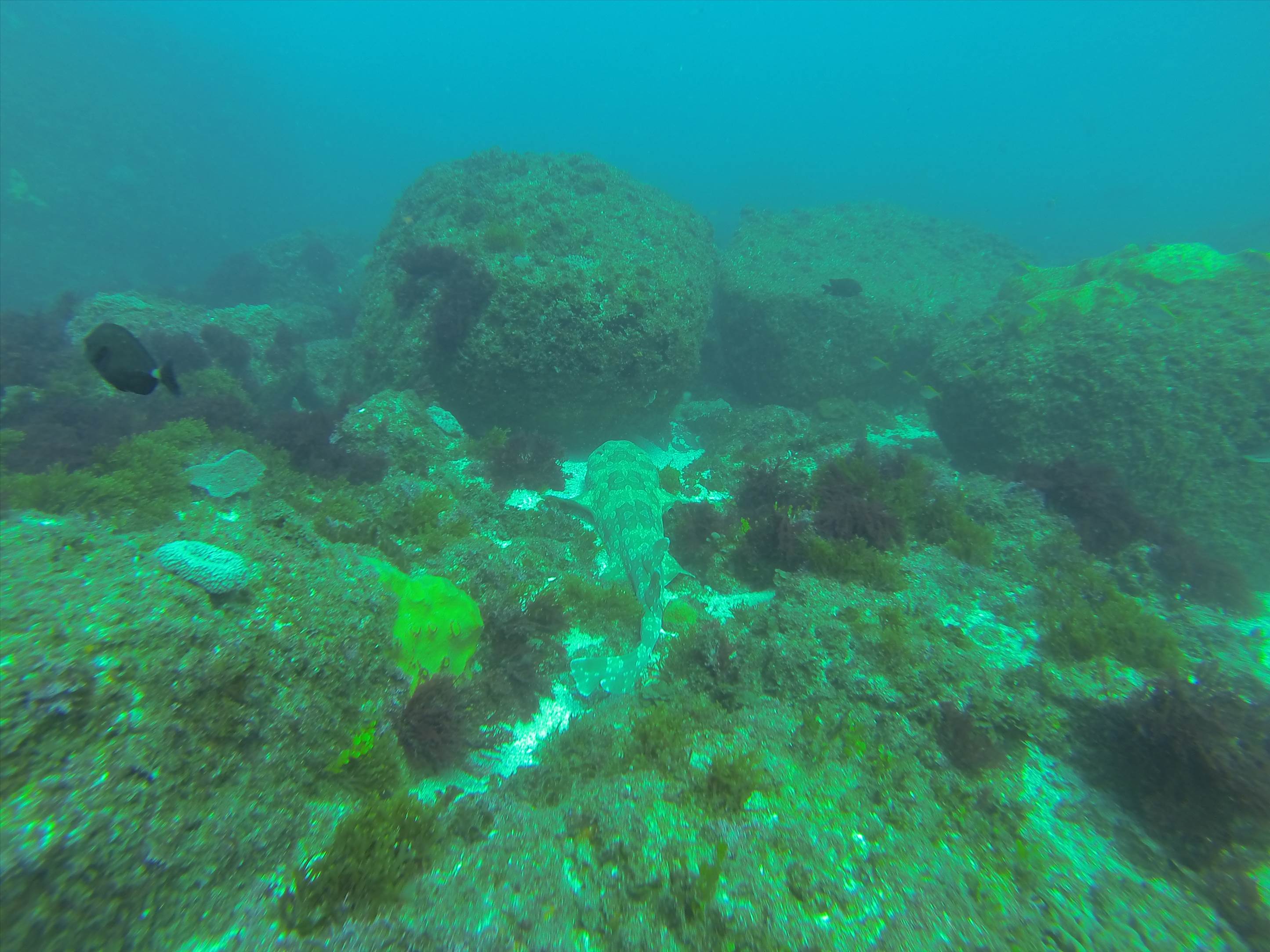 GOPR0327