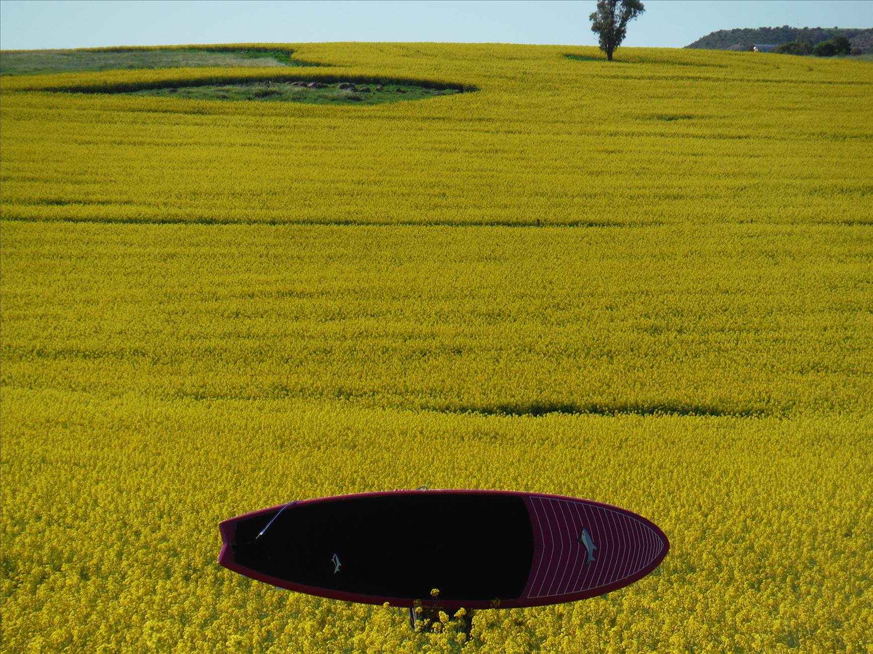 WA 1AUGUST 2014