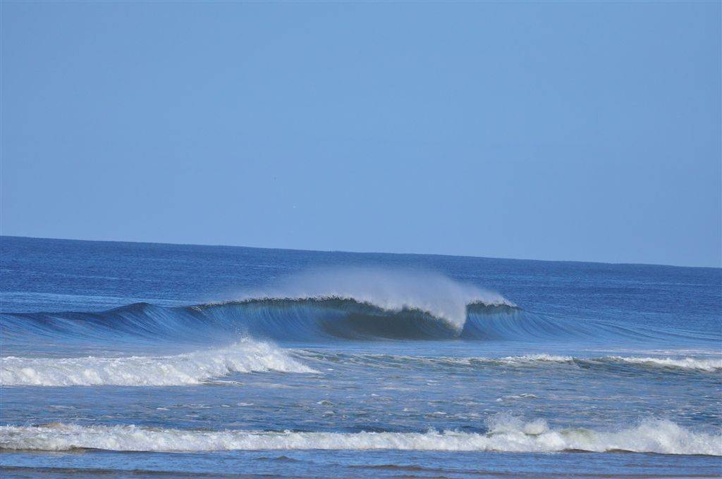 SURF