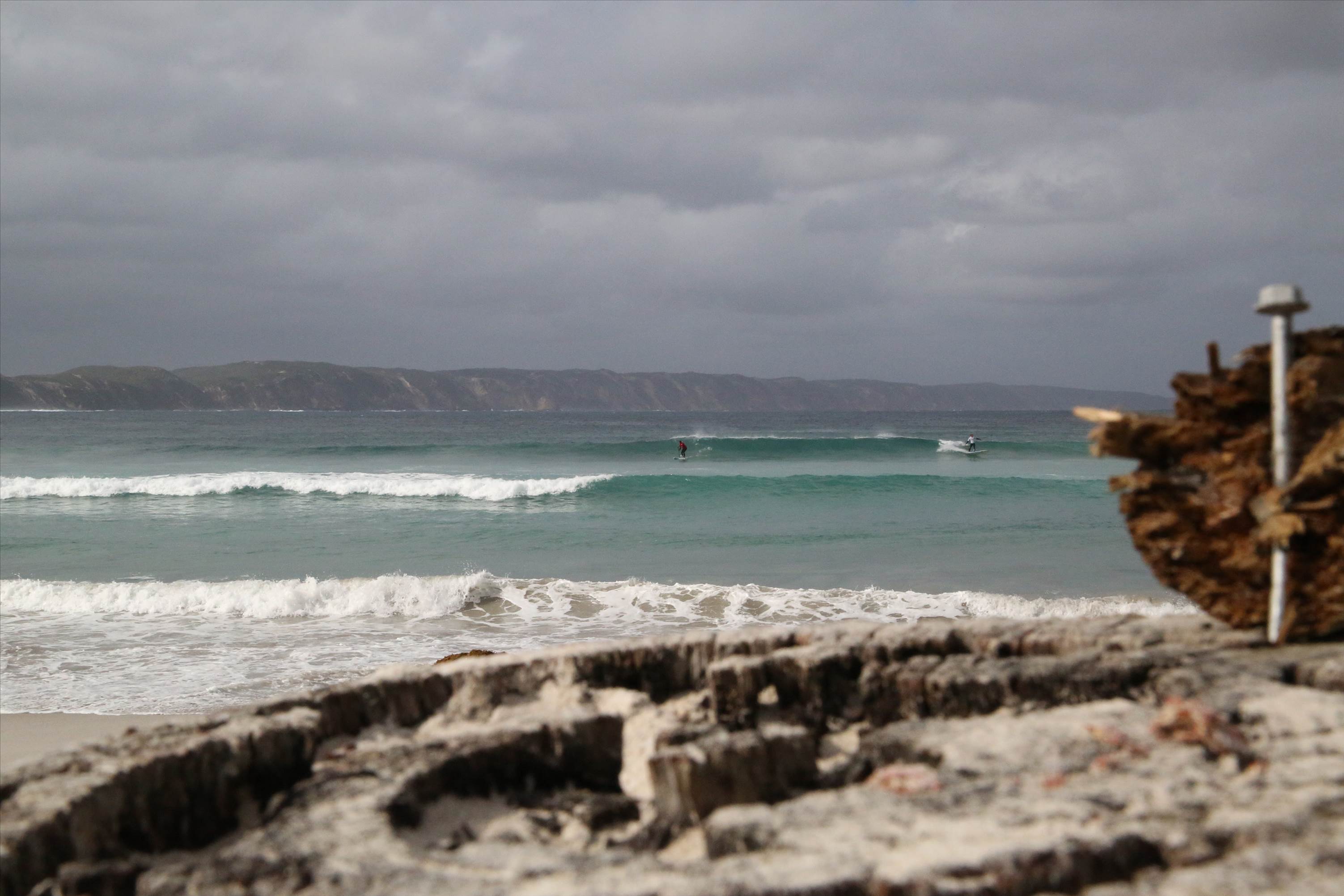 Denmark WA State round