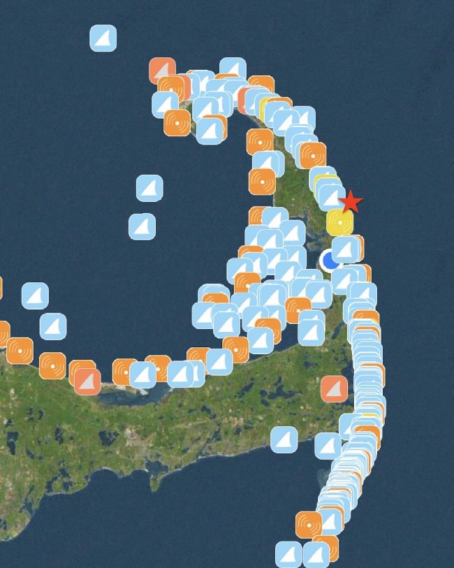 1 a sharktivity