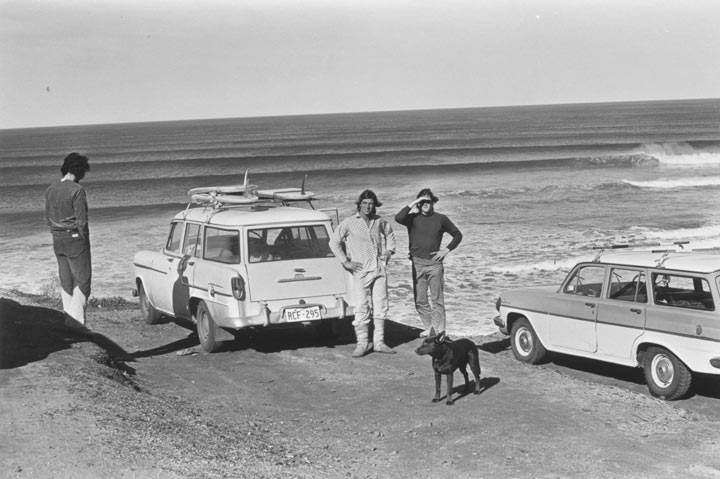 bellscarparkcarsanddog