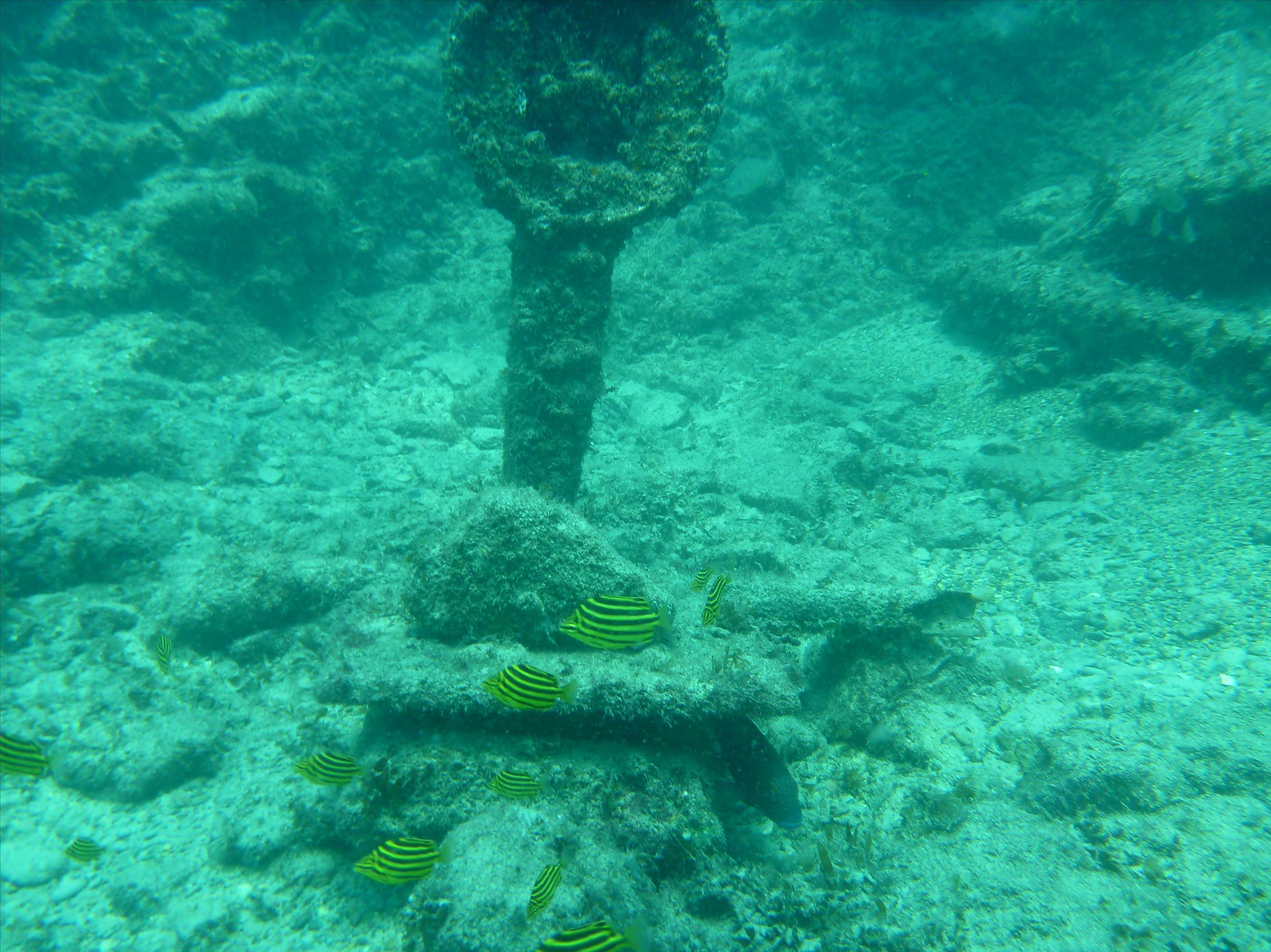 P1000587