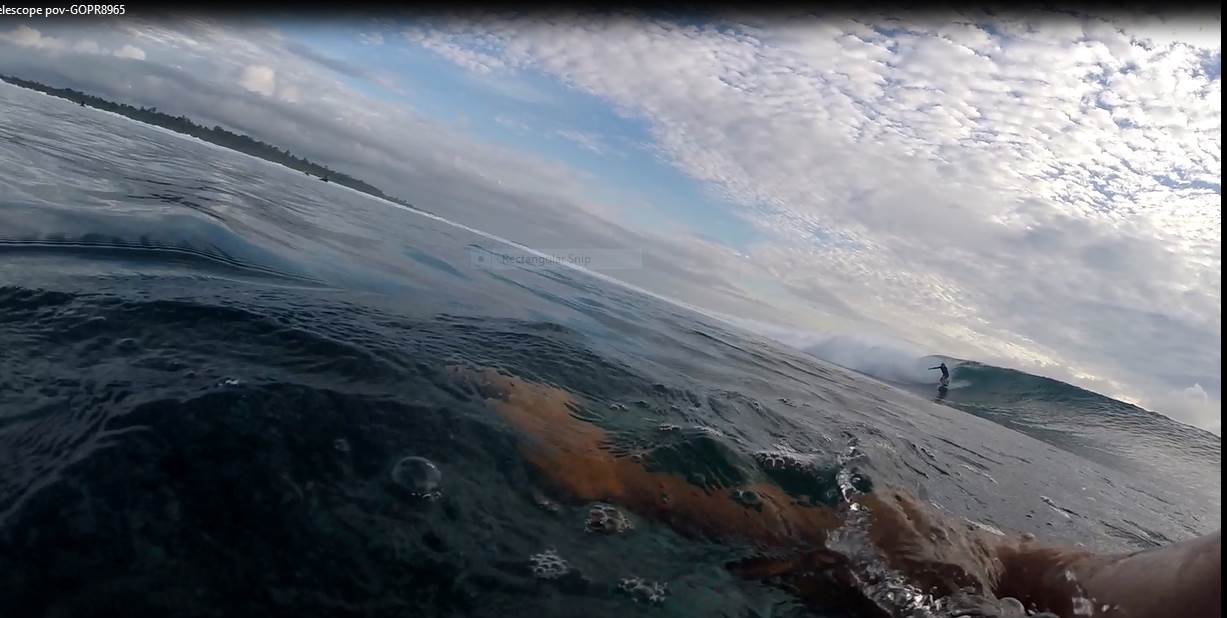 surfing 1
