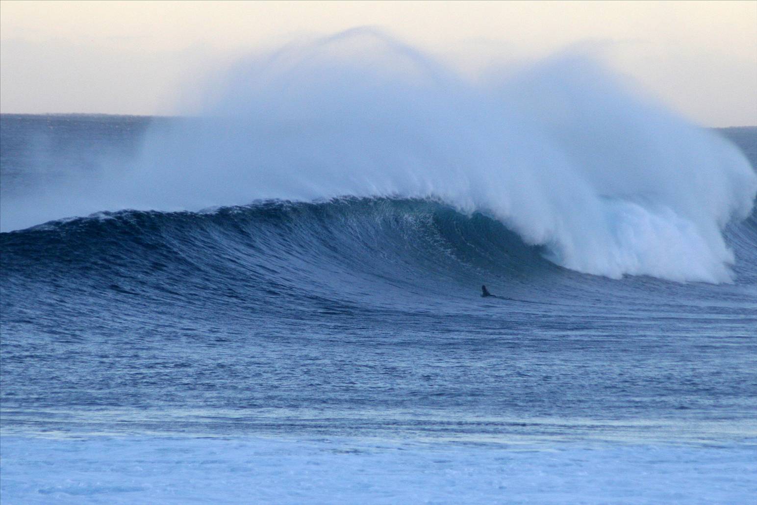 yes please