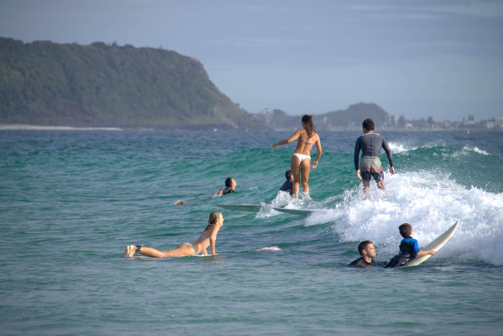 DSC02629 v1