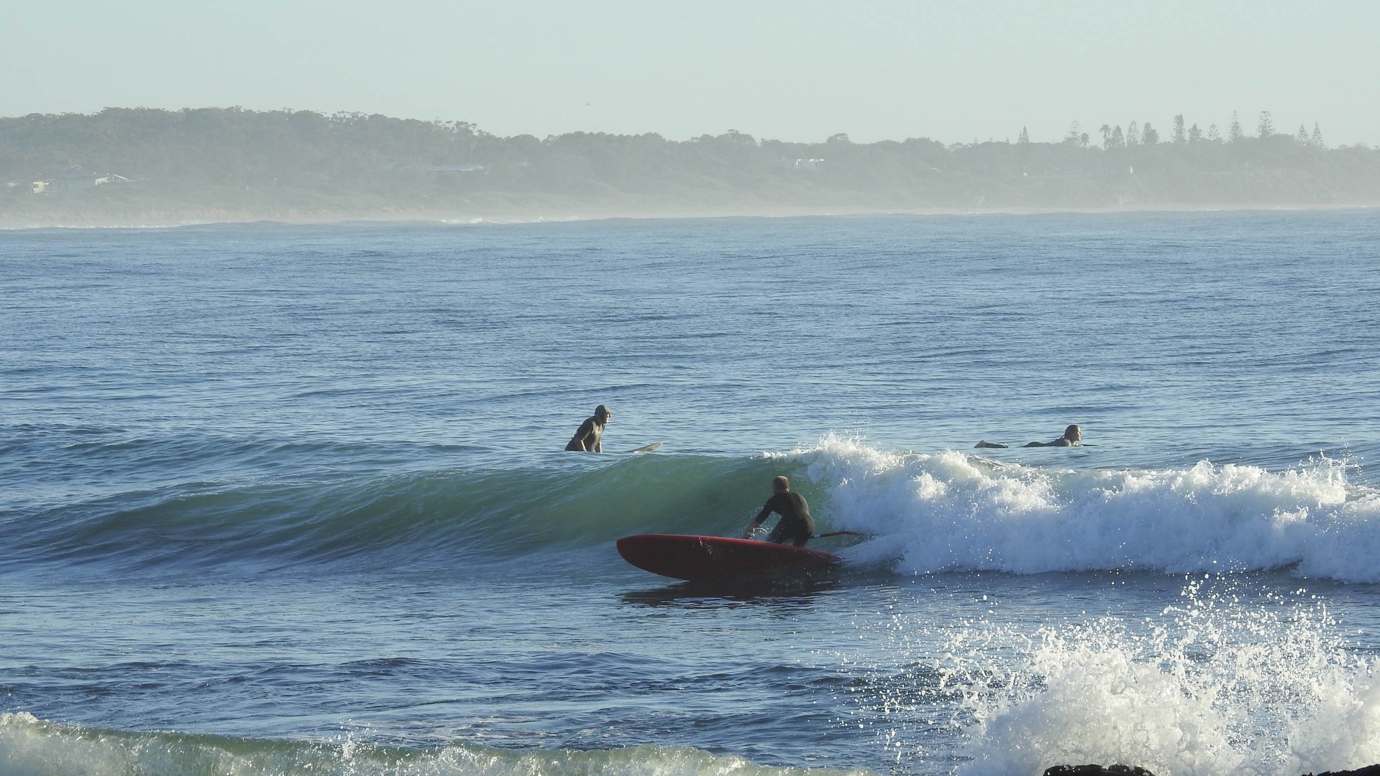 fullsizeoutput b99d