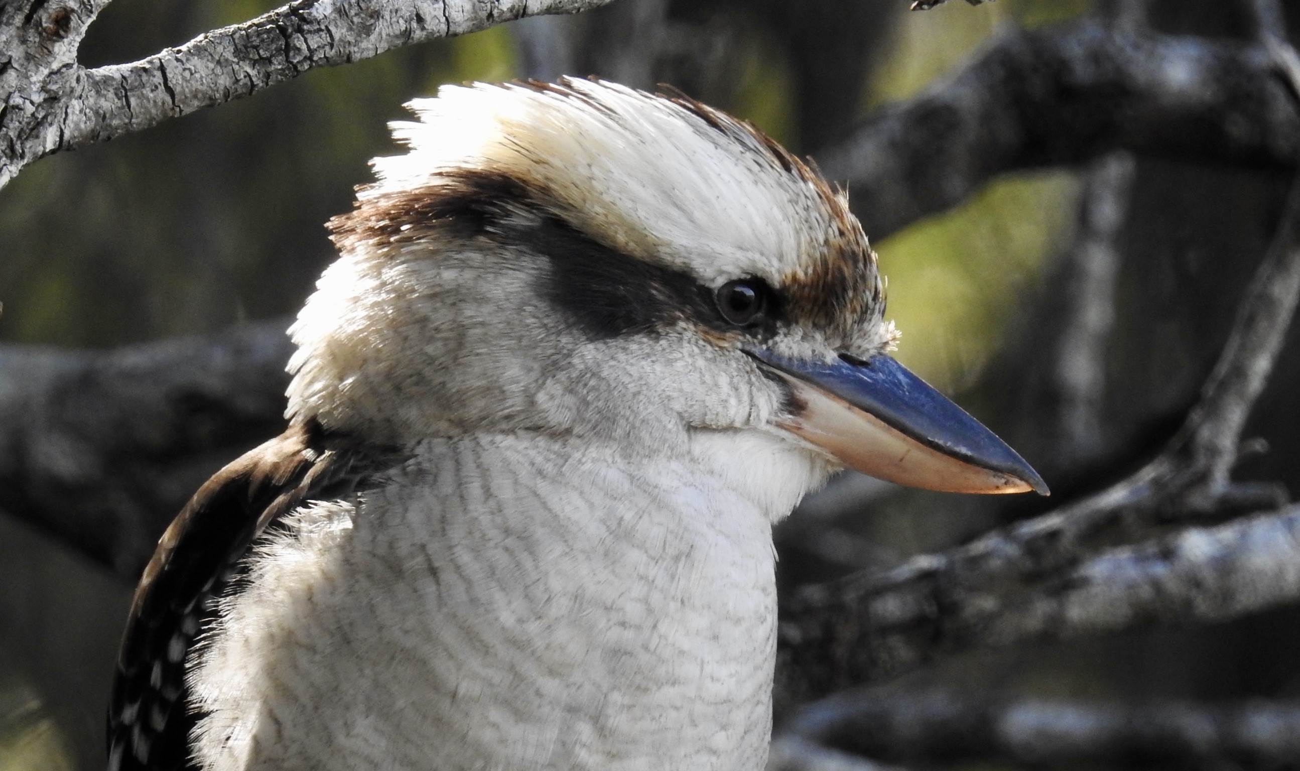 fullsizeoutput 159