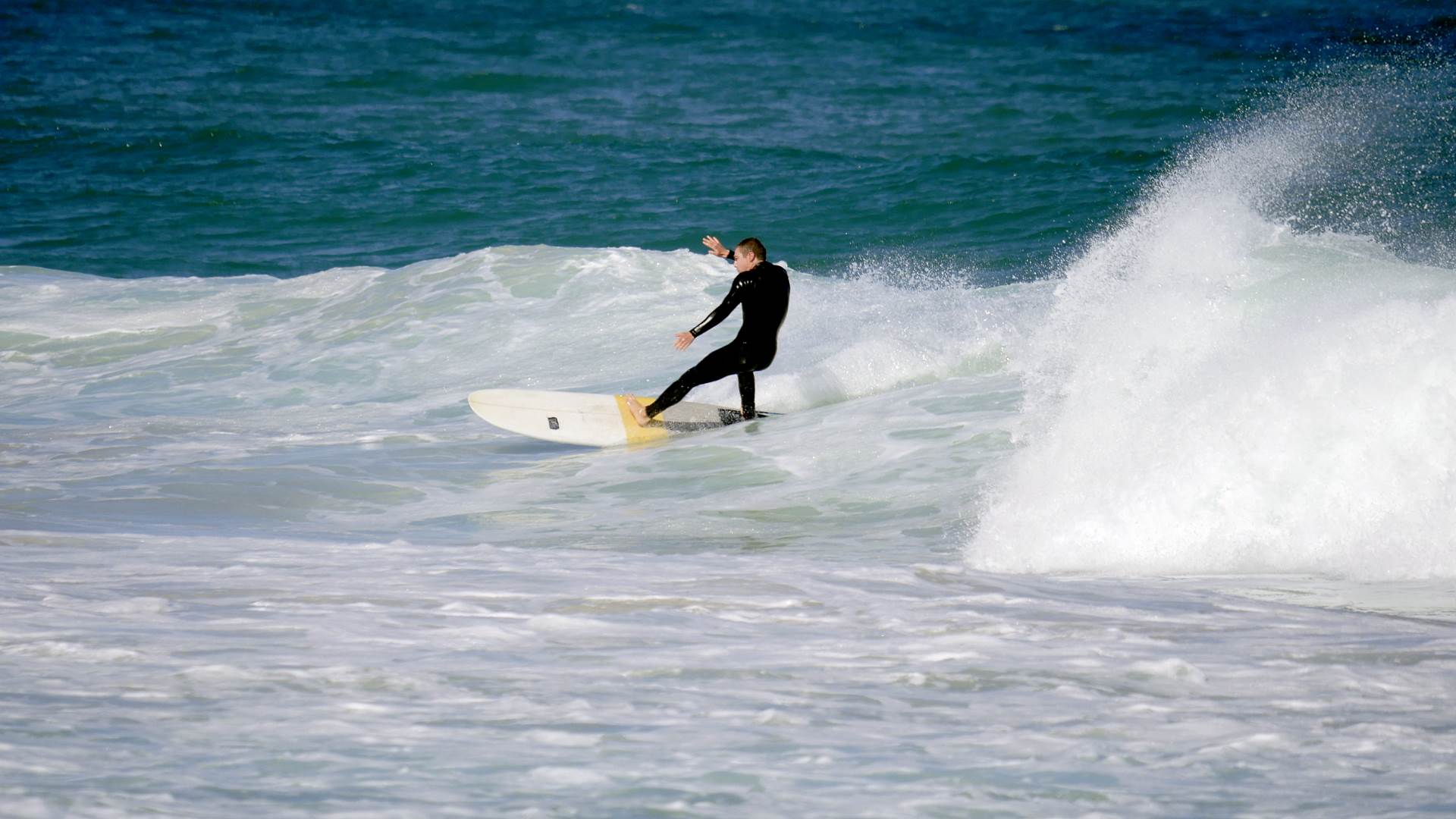 Trigg long boarders