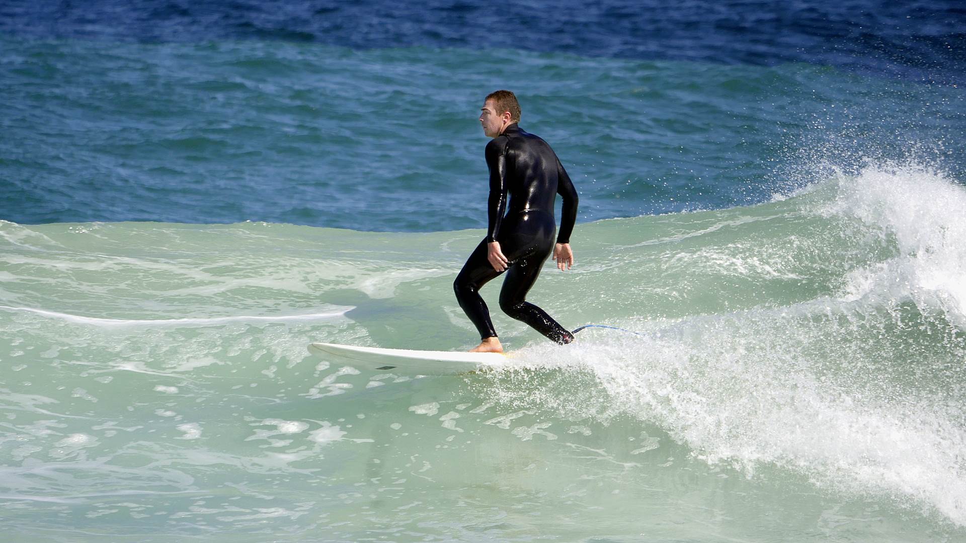 Trigg long boarders
