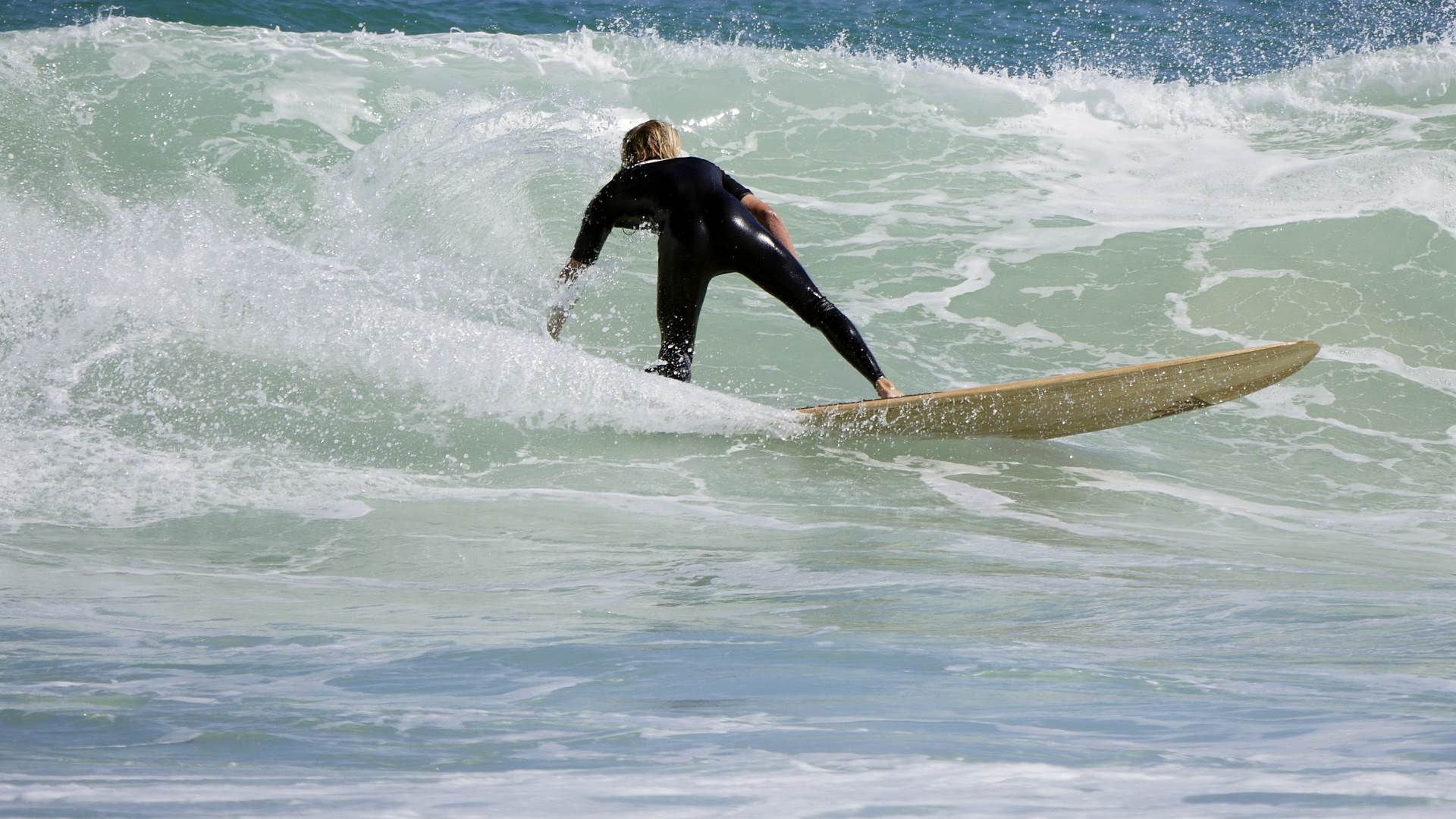 Trigg long boarders