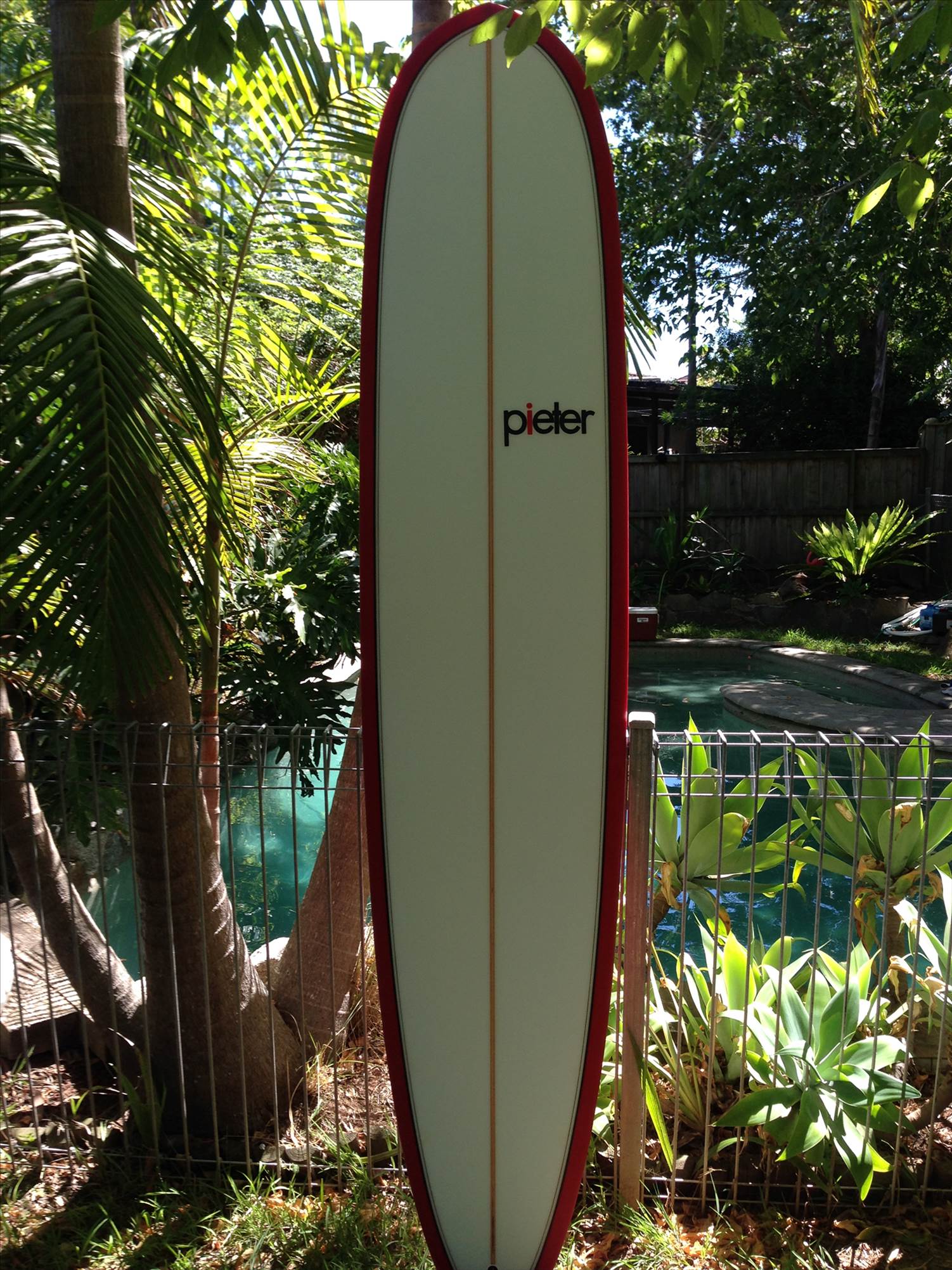 New pieter 9'1'231/4"X318"