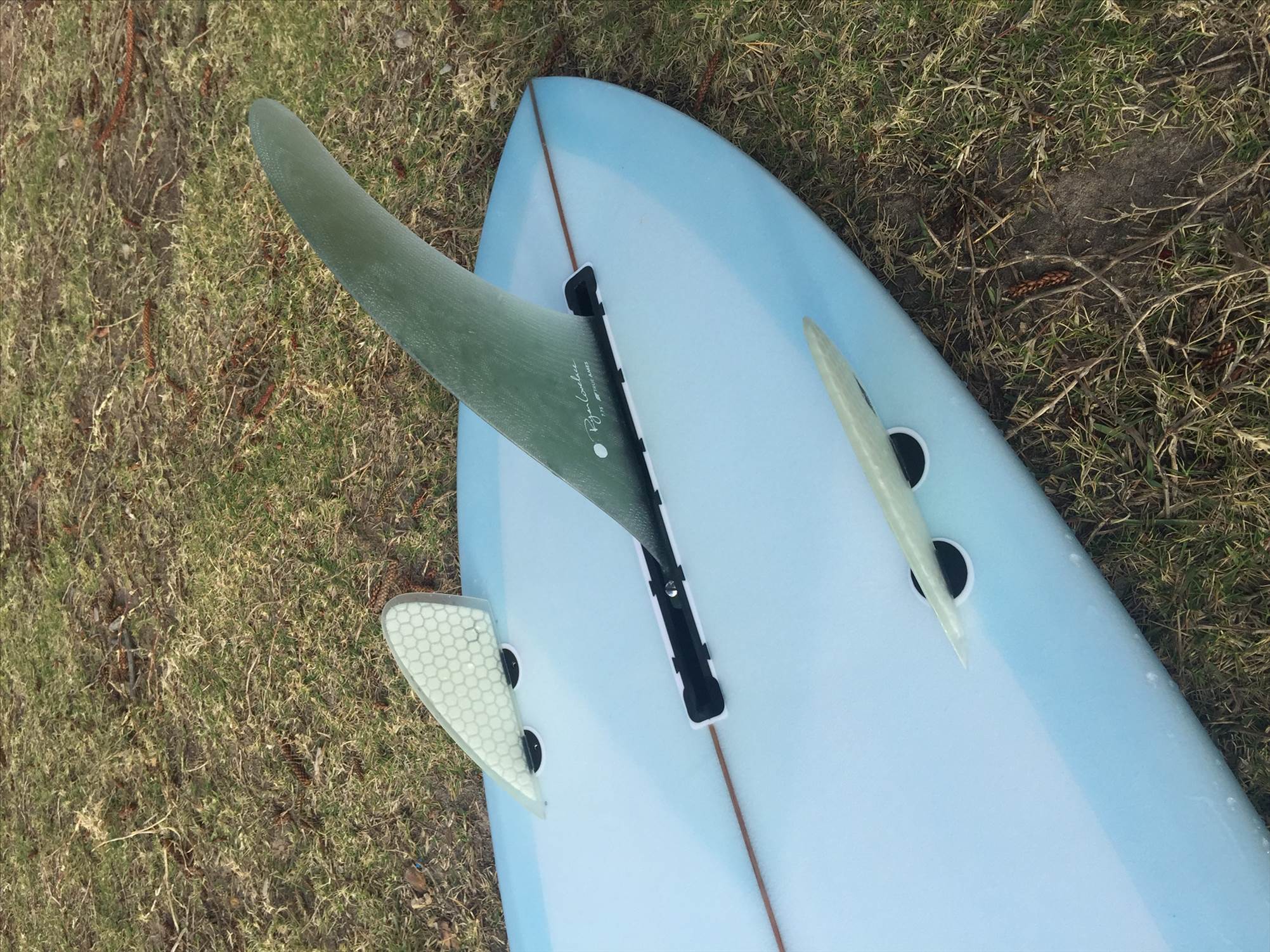 Thick Lizzy fins