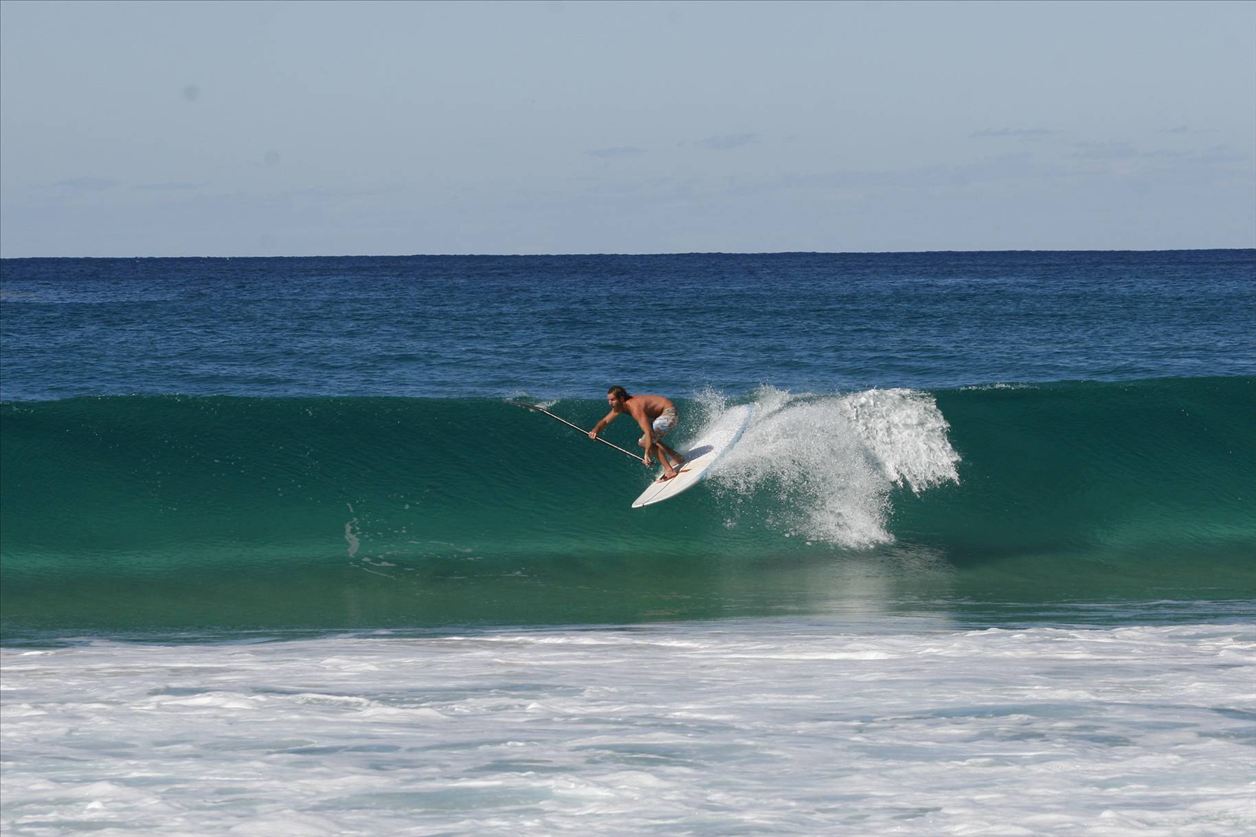 ANDY F.- P BOARD