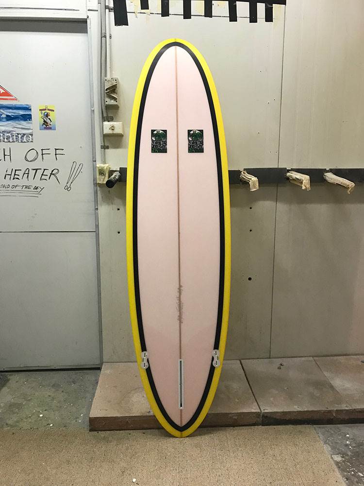 Wayne Lynch Evo