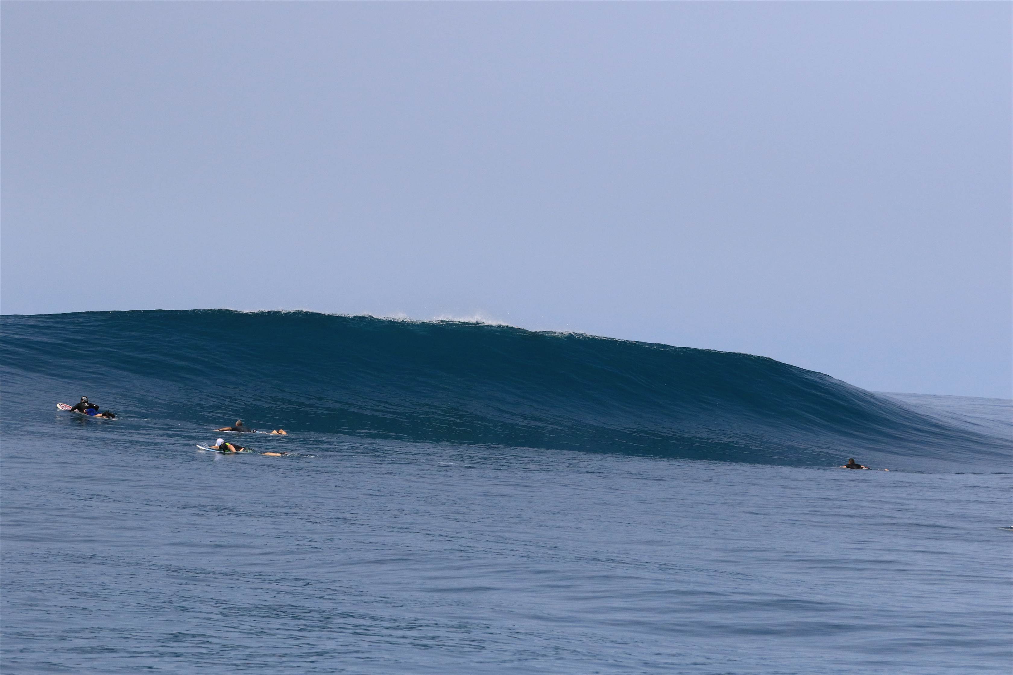 Indo on the Jiwa