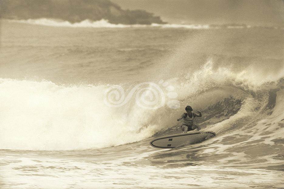 wayne lynch