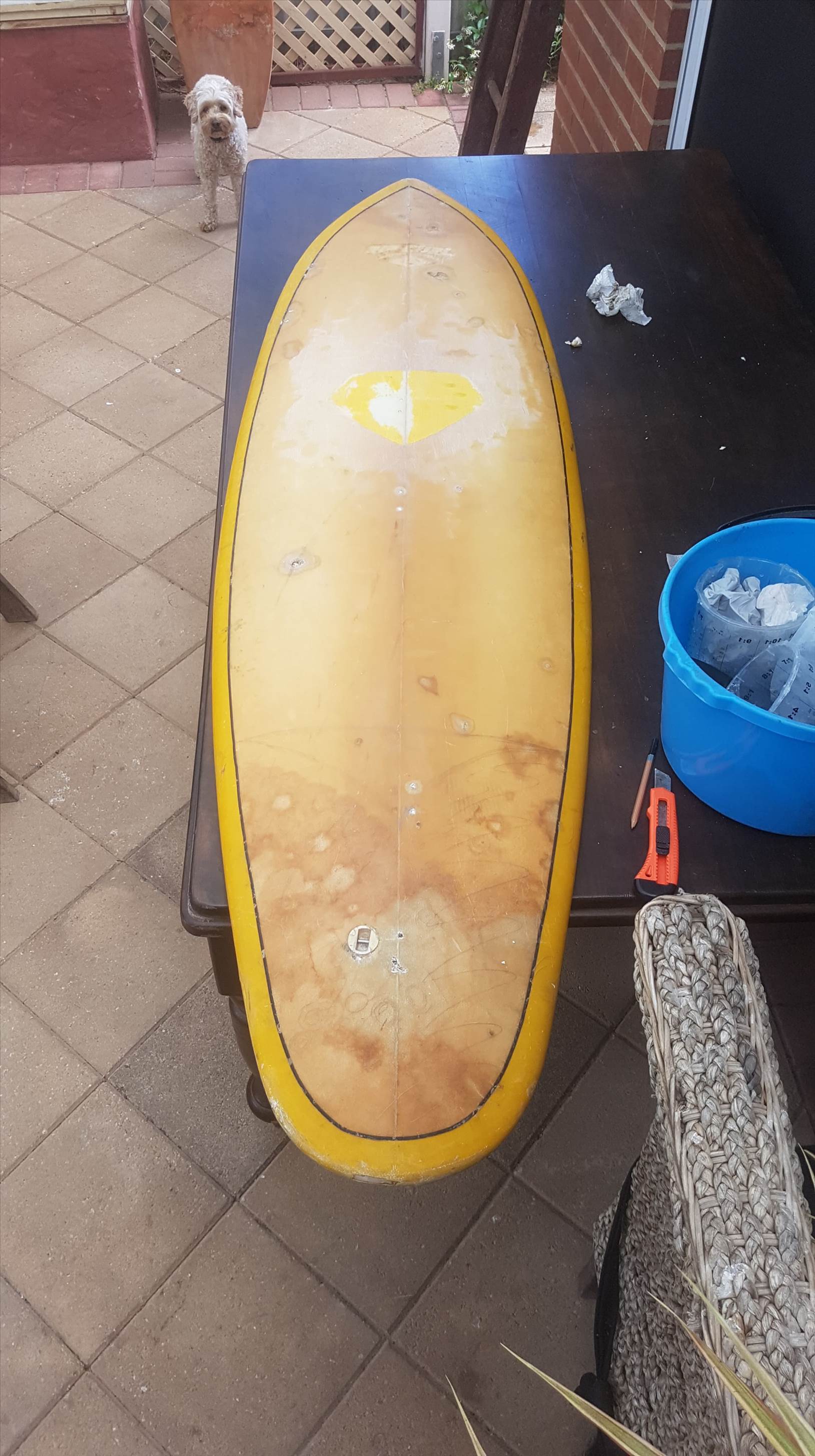Yellow shred stick