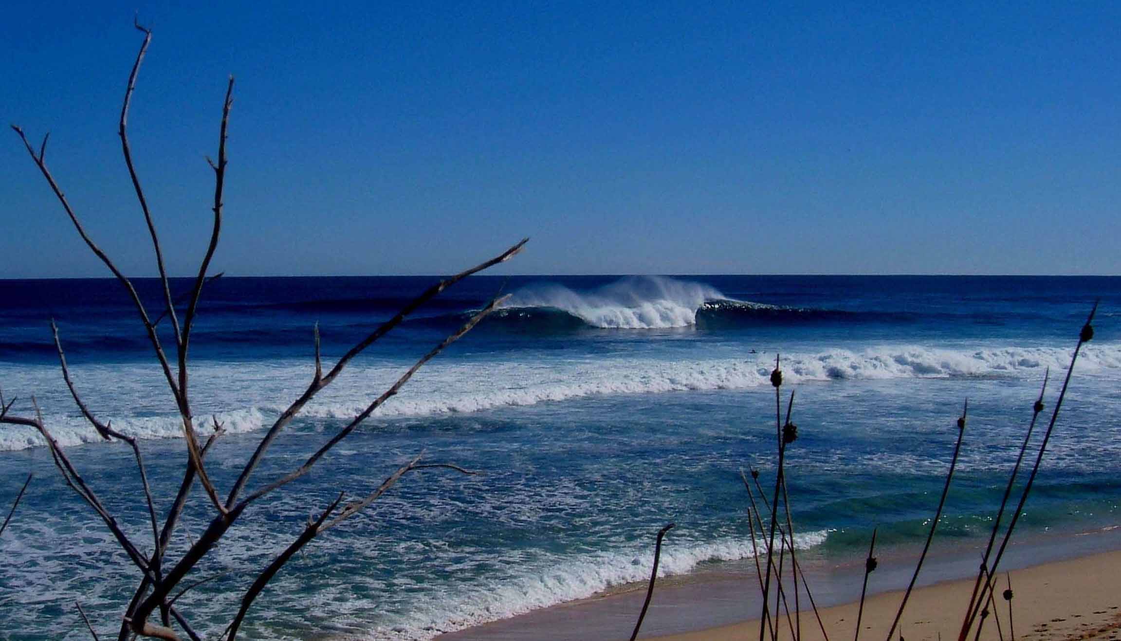 Solitude