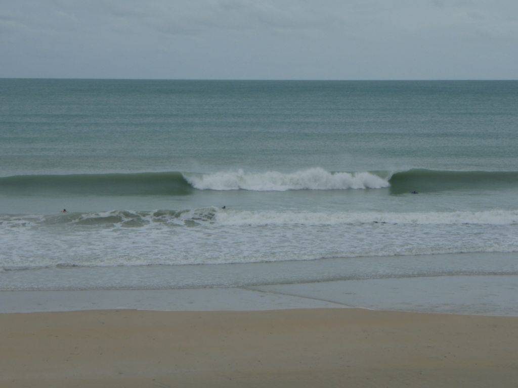 Sickies are sometimes gold when its cyclonic