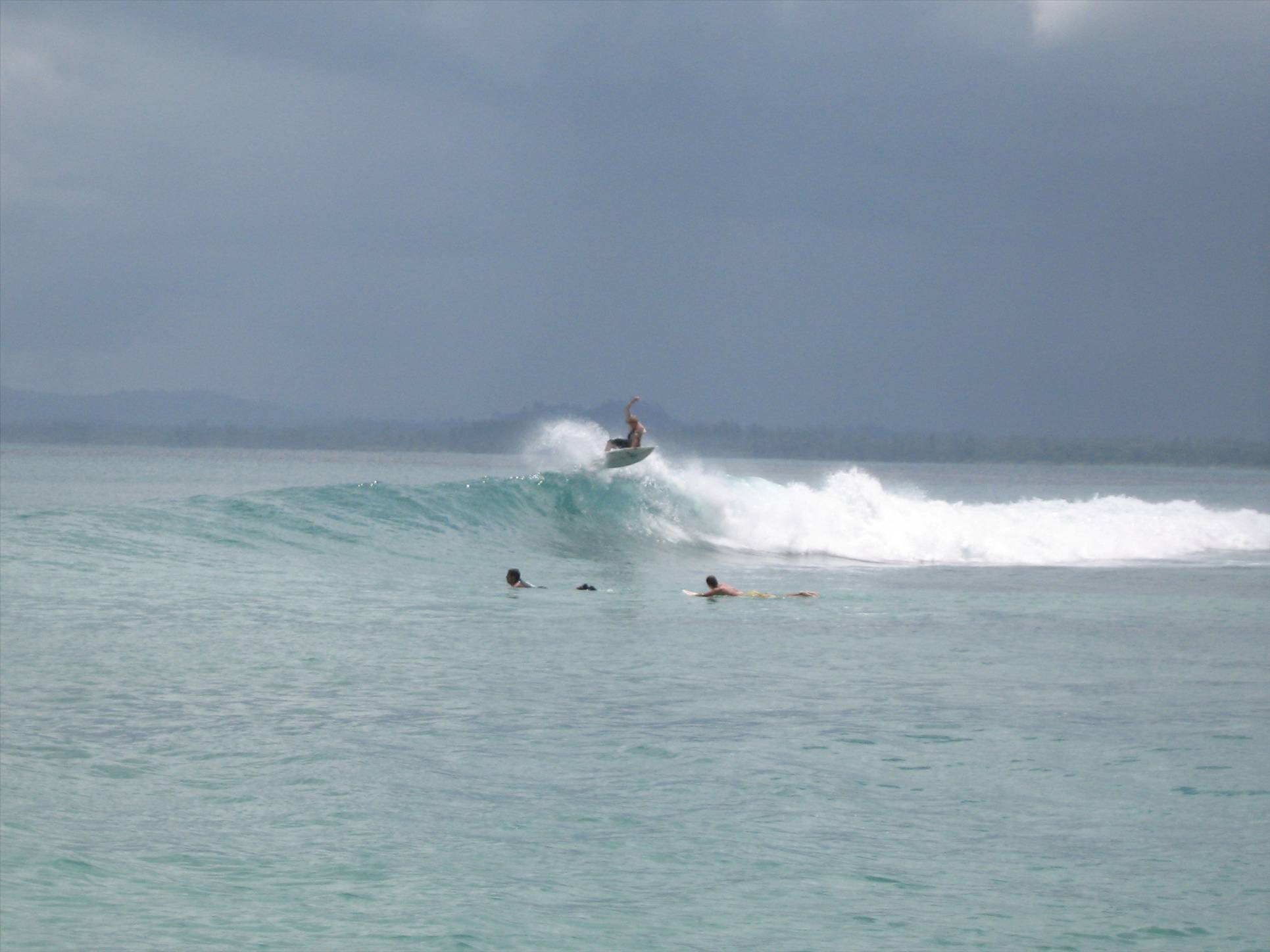 Mentawais