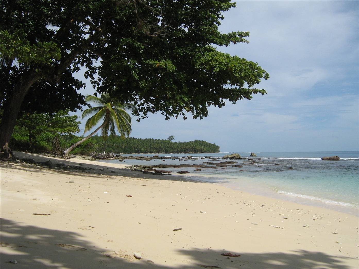 Mentawais