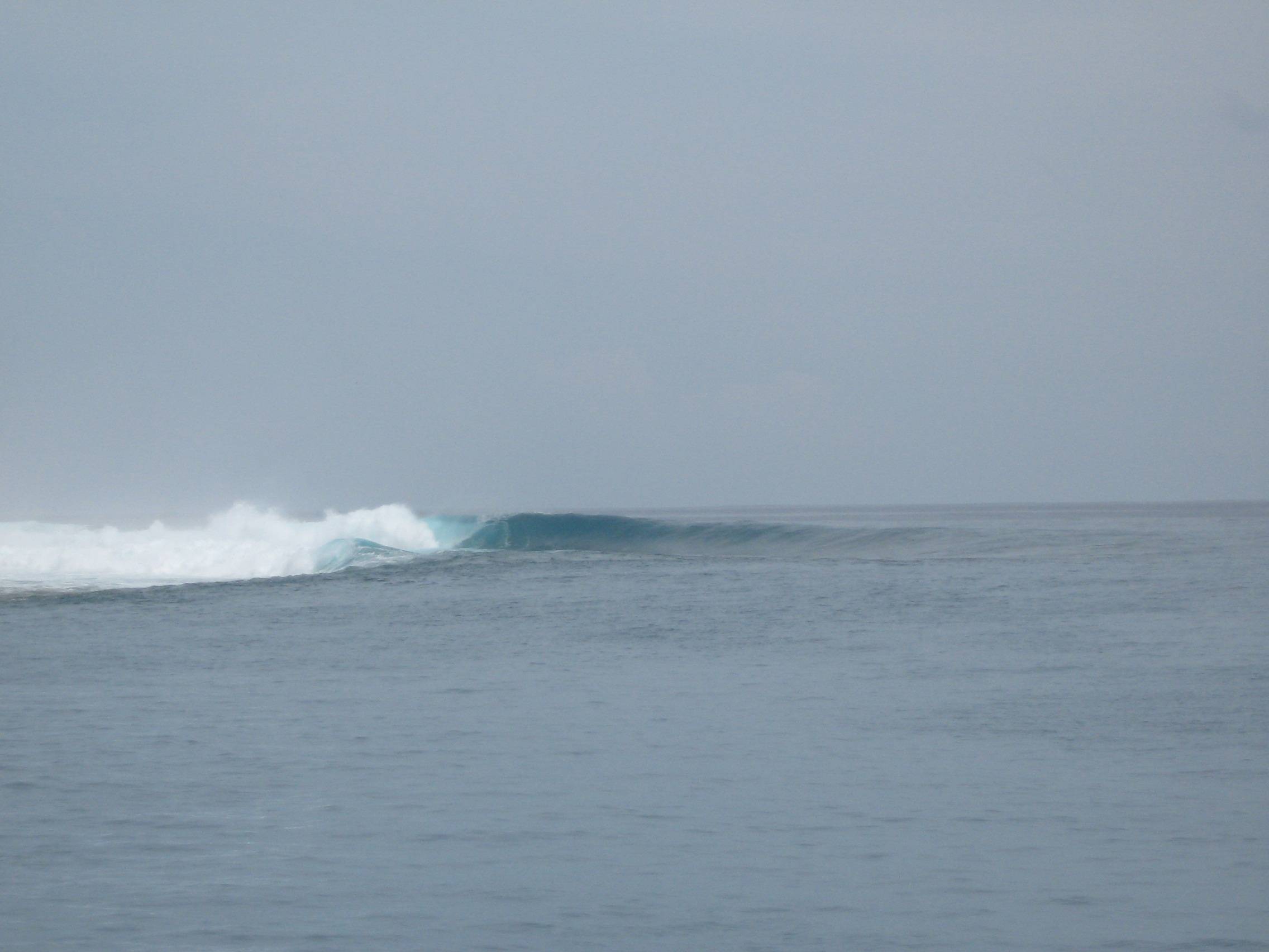Mentawais