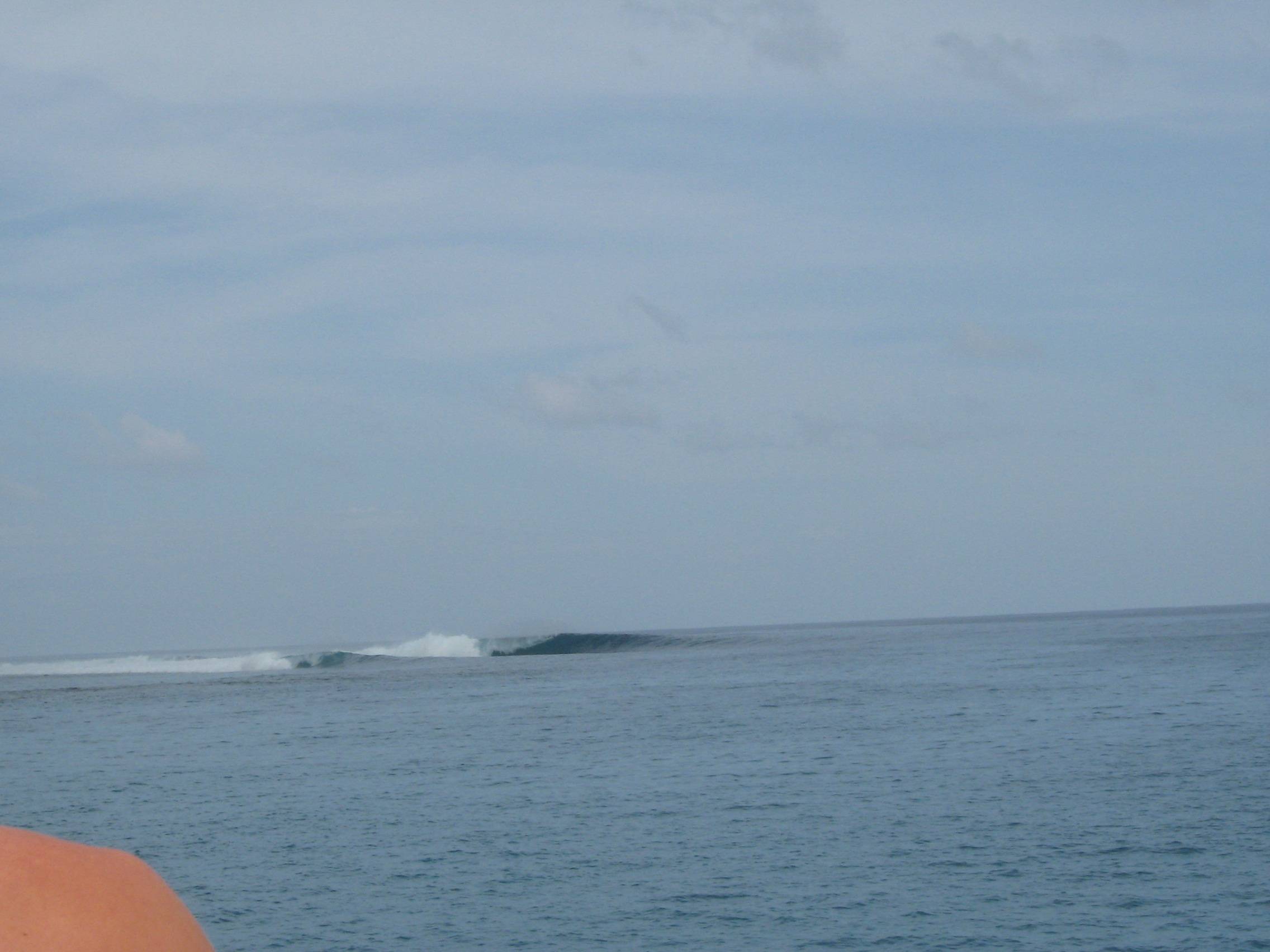 Mentawais