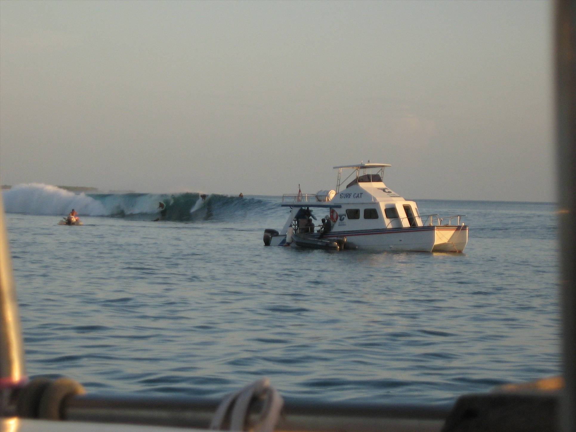 Mentawais