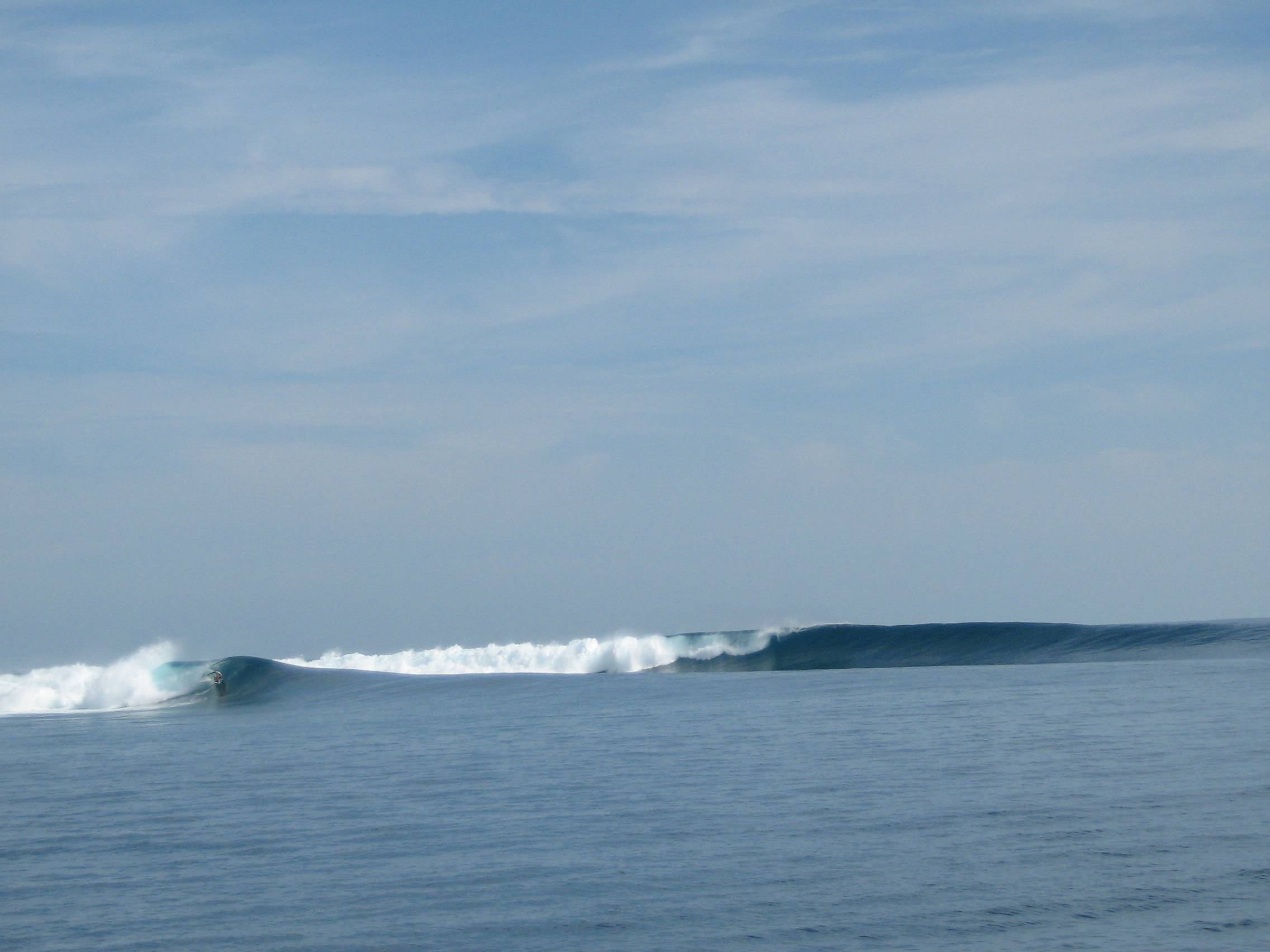Mentawais