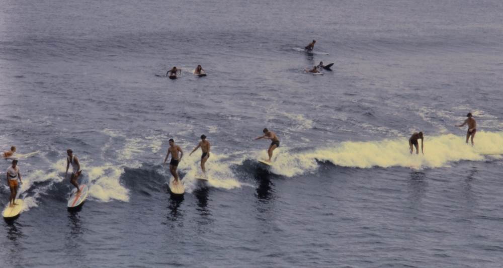 Early Cove