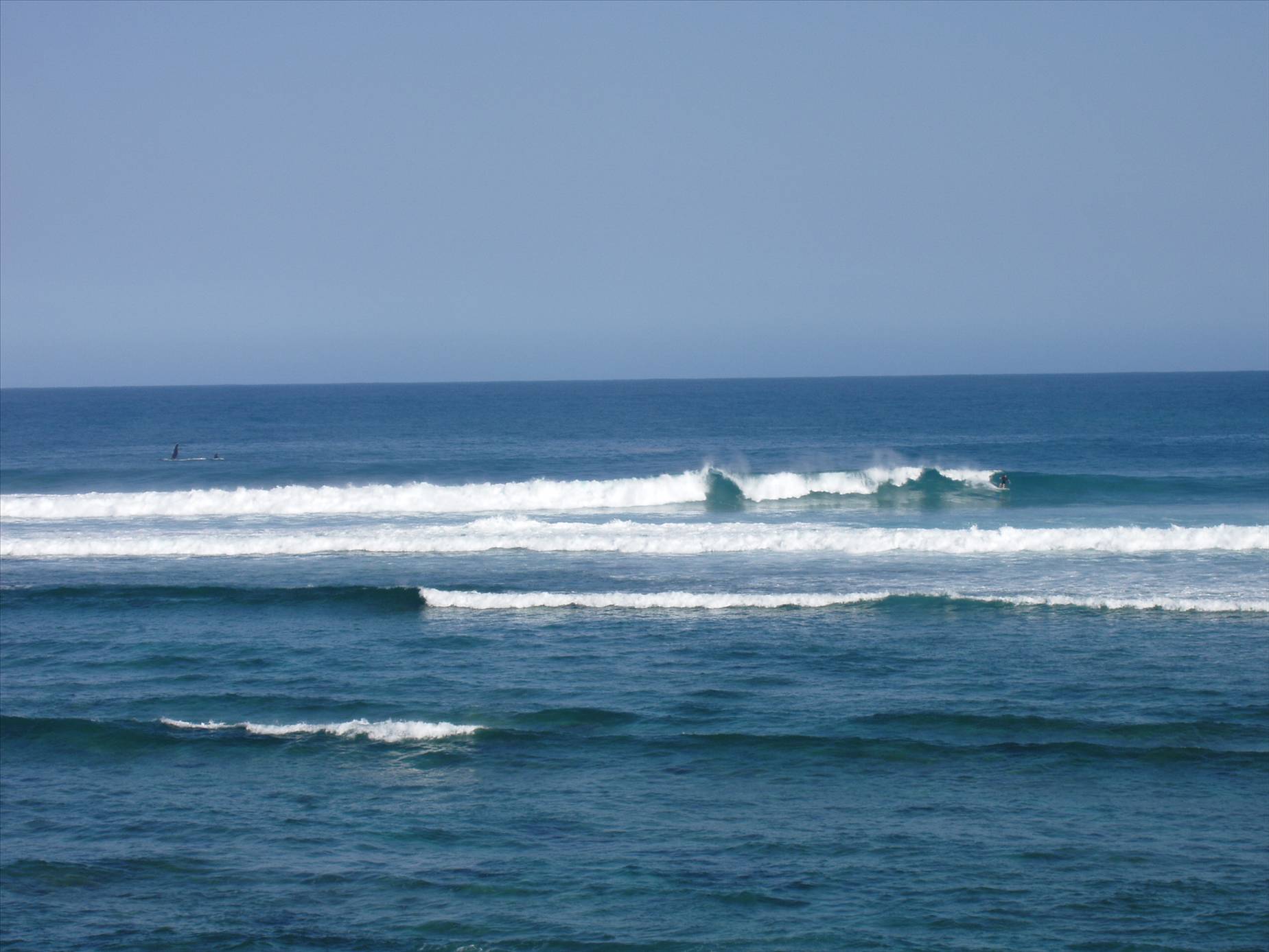 looks more gentle than it is, check the whale out 