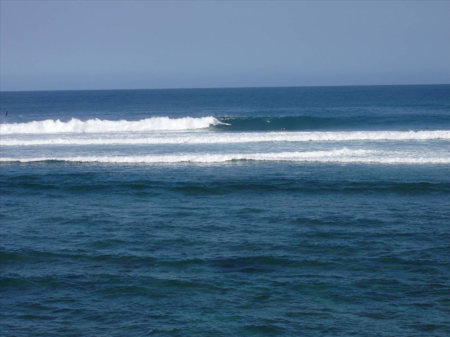 looks more gentle than it is, check the whale out 