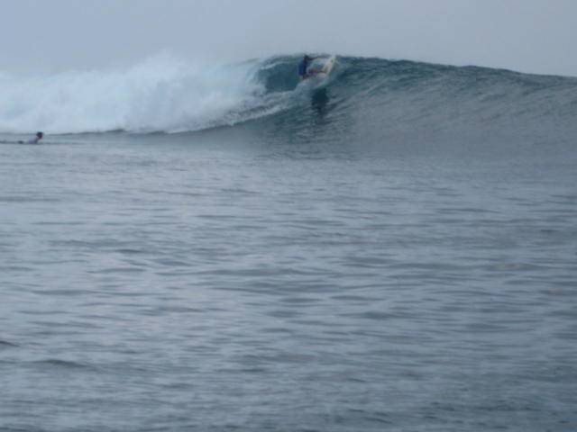 handi vert