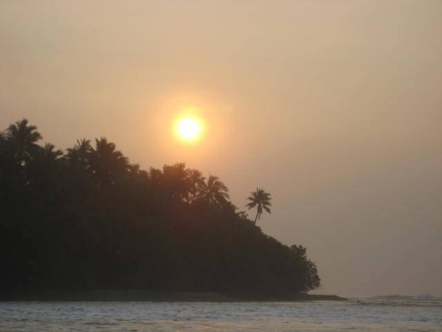 paradise