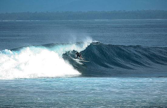 surf