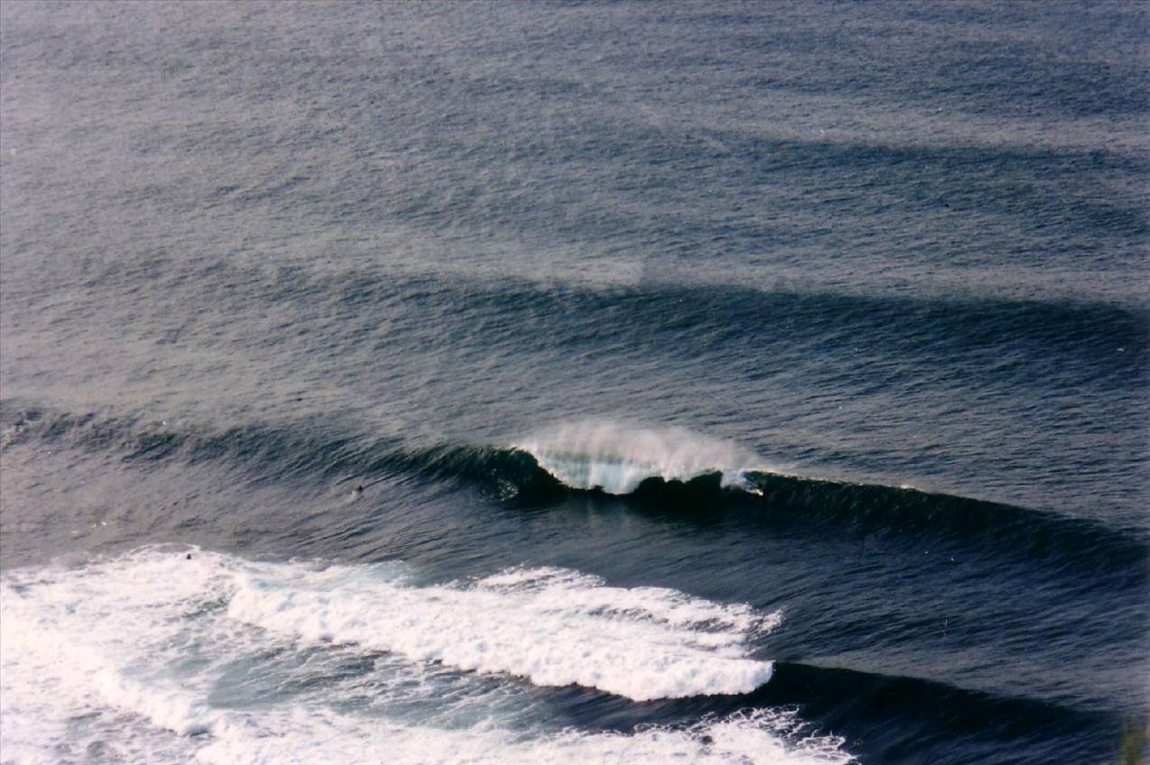 Scan10079