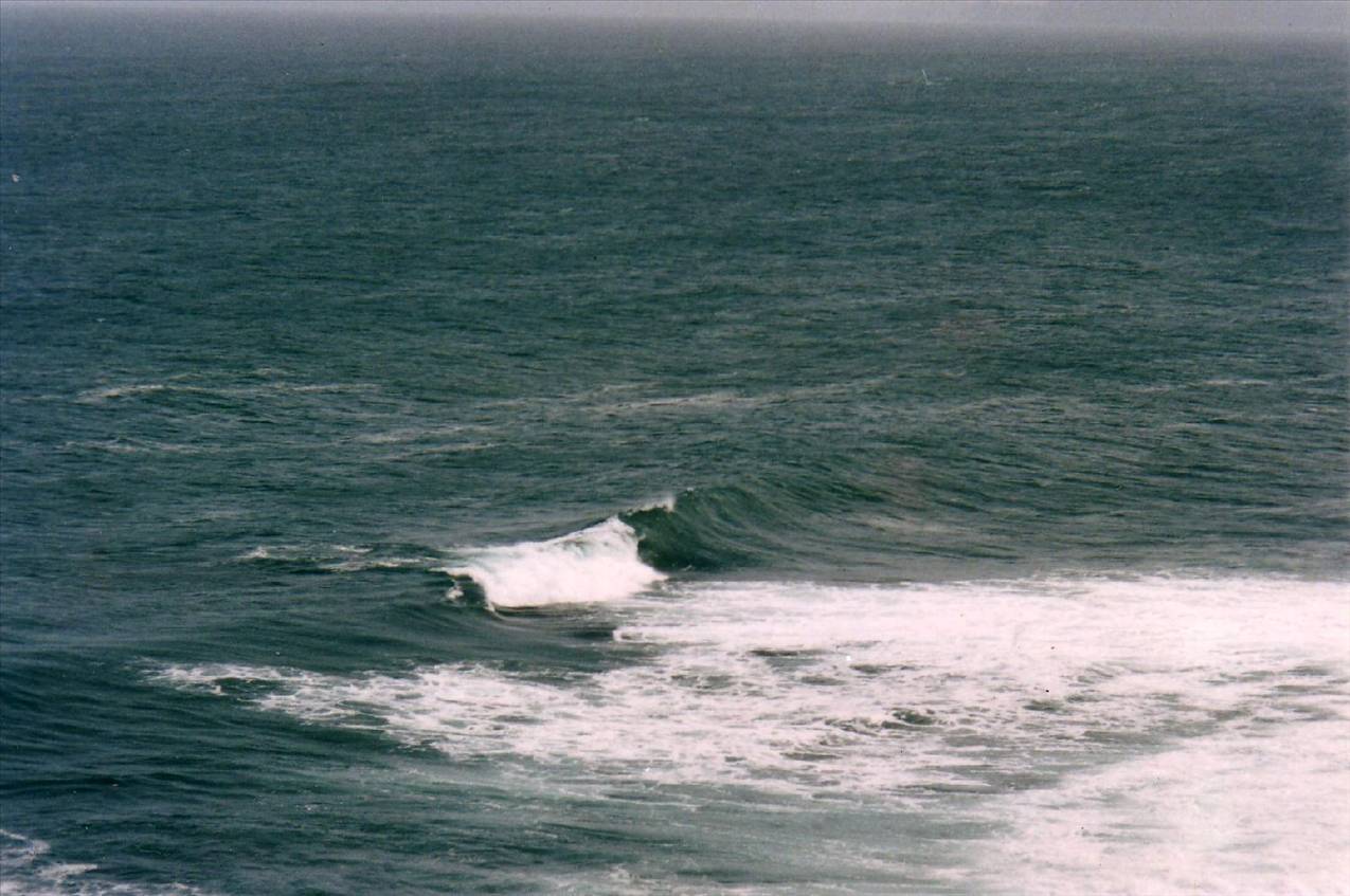 Scan10096